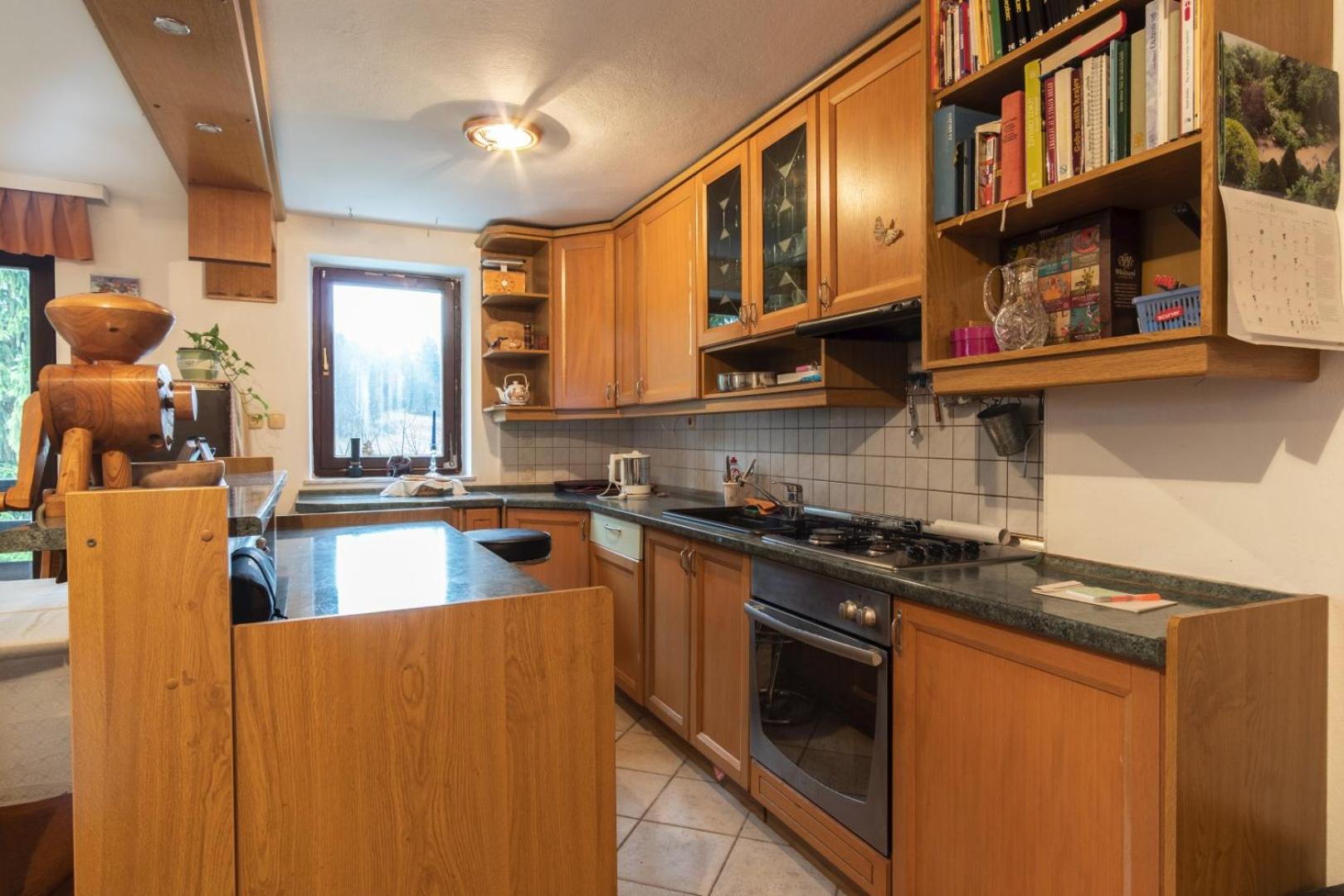 Apartment Satya