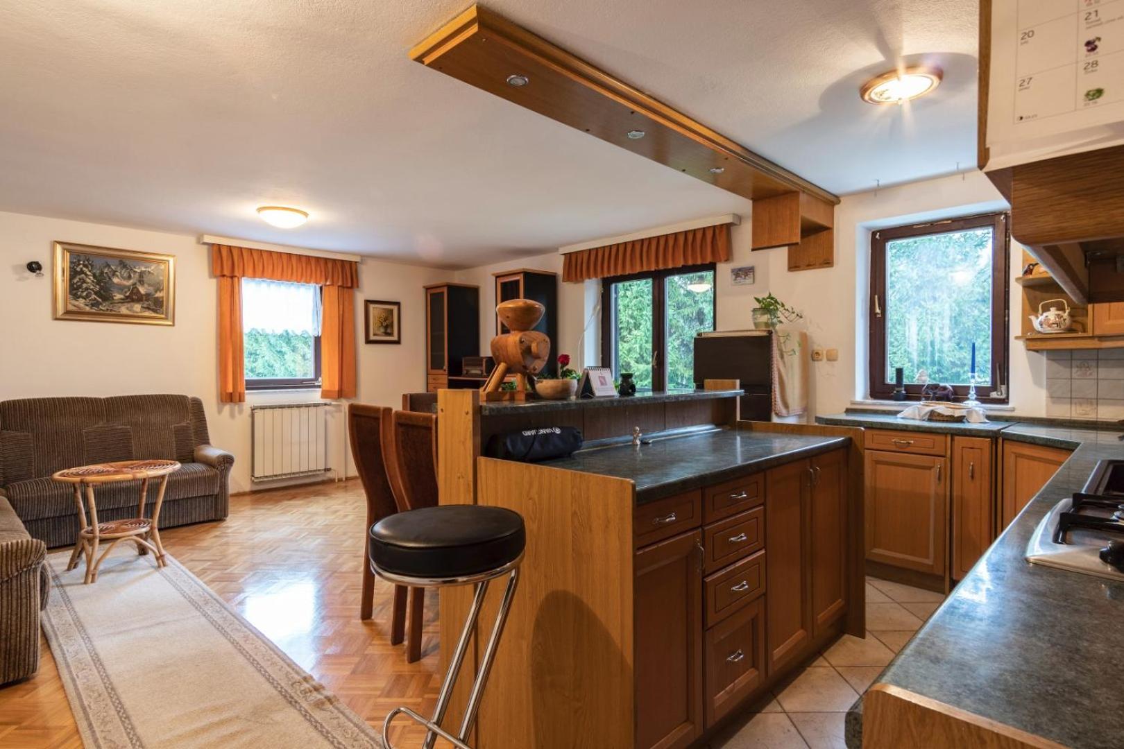 Apartment Satya