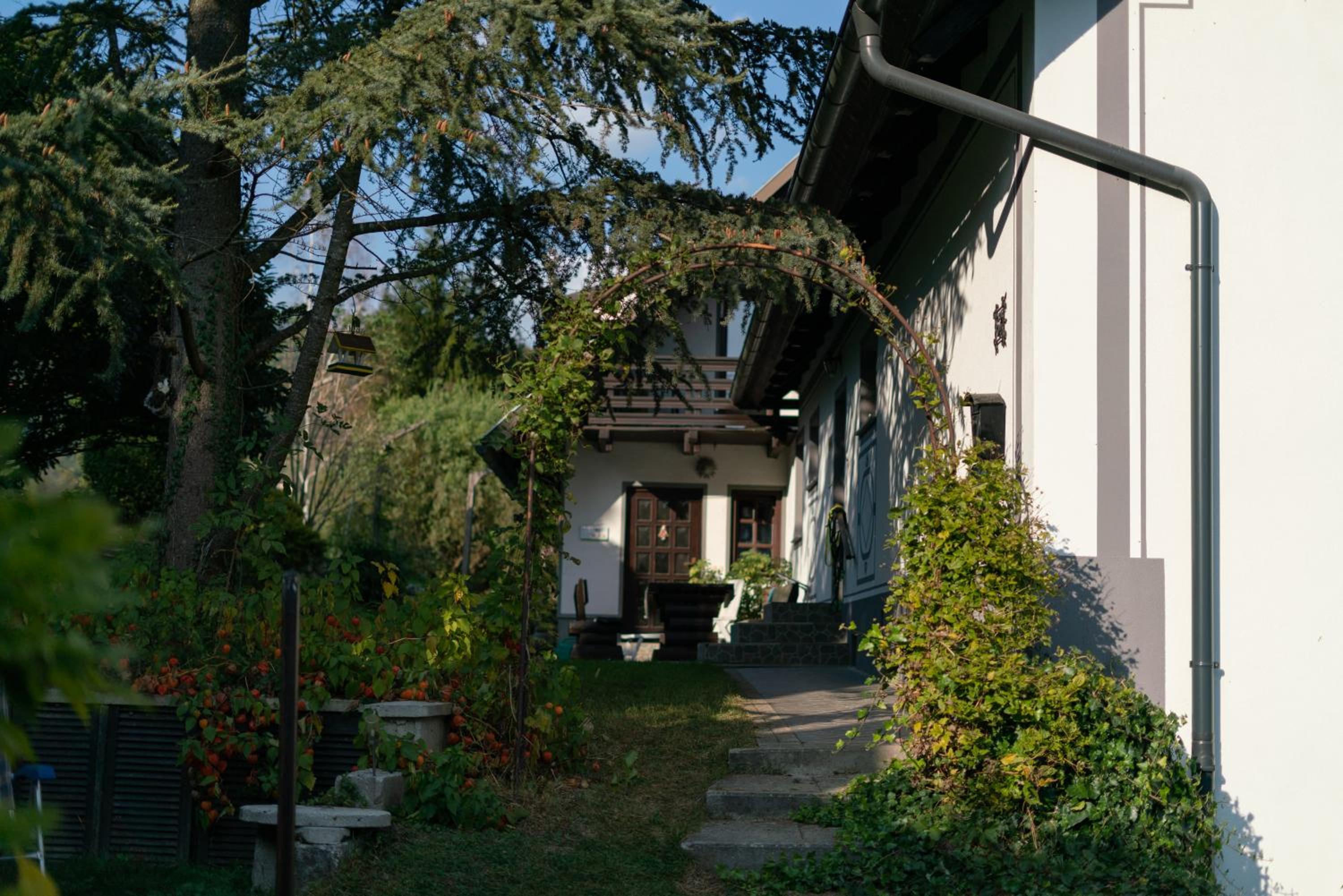 Apartment Satya