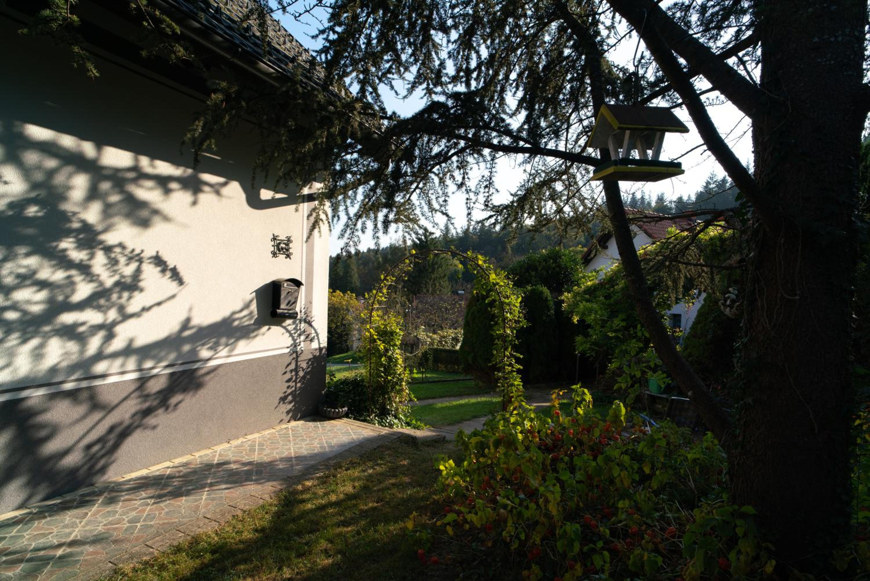 Apartment Satya