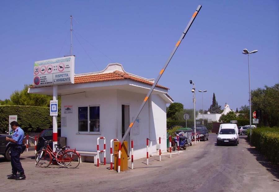 Photo 29
