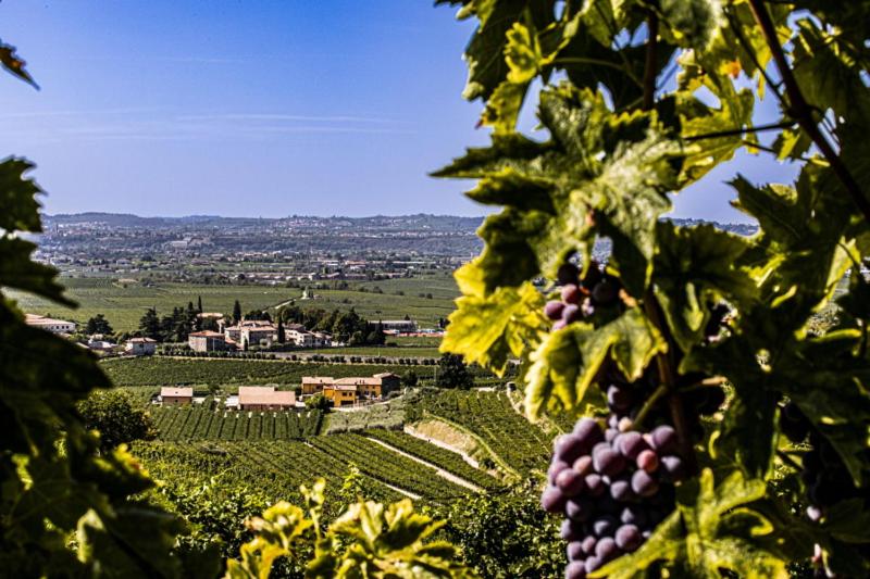 B&B Ca' Bernai view 4
