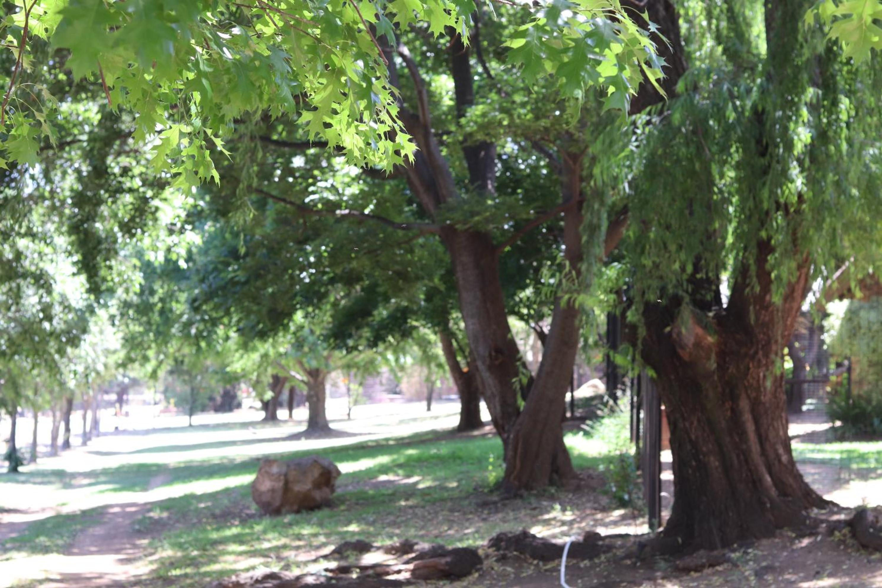 Khaya Africa Guesthouse