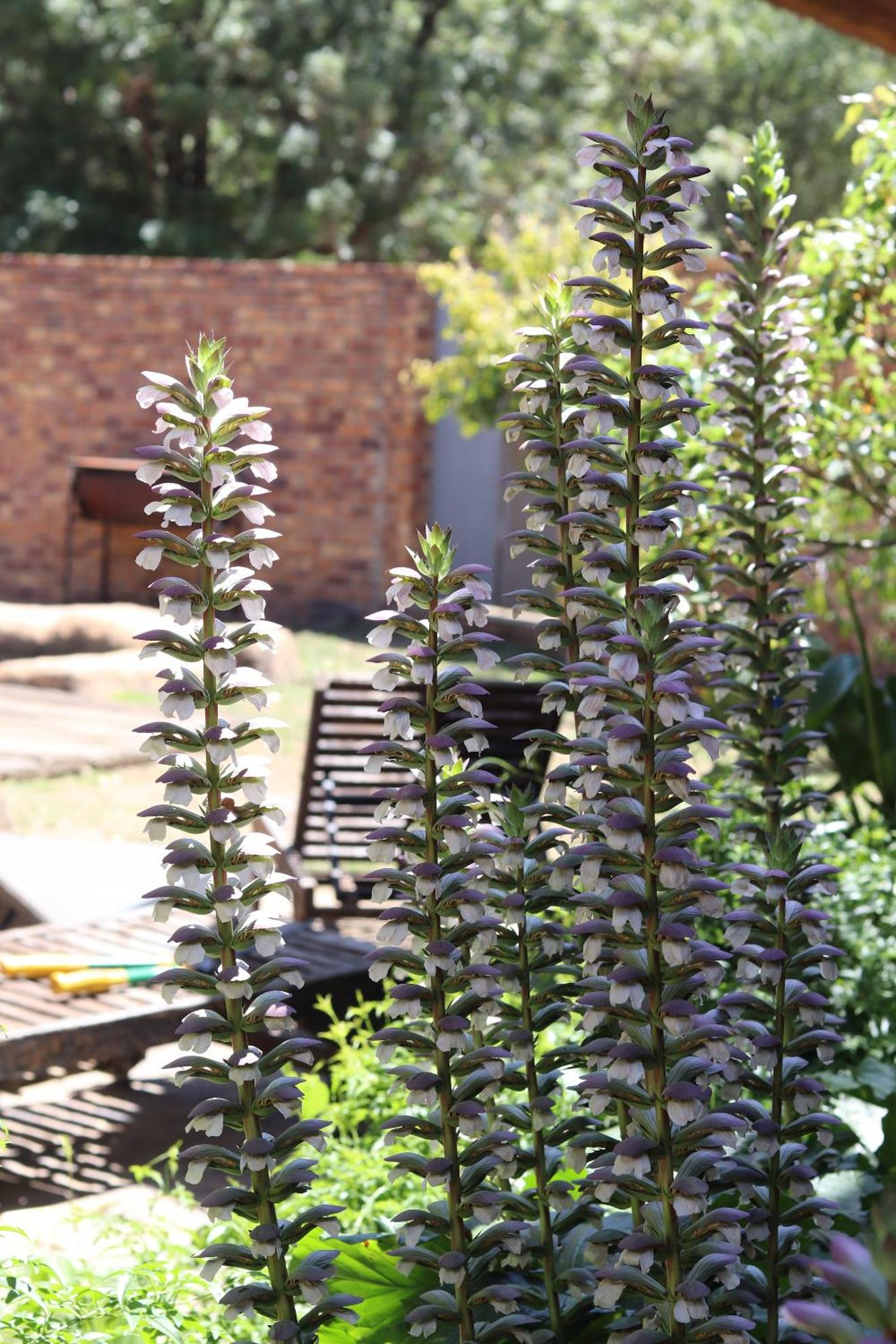Khaya Africa Guesthouse