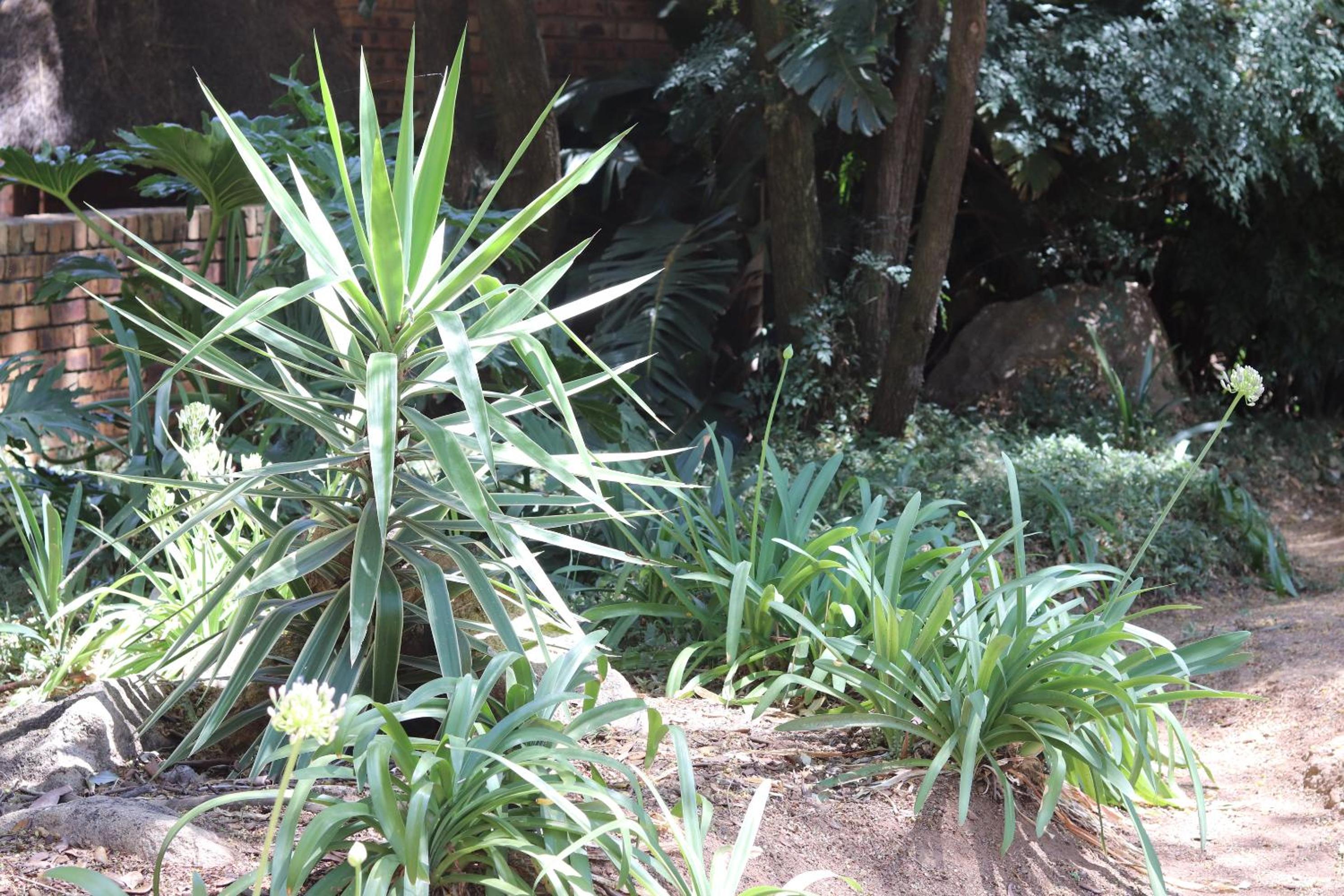 Khaya Africa Guesthouse