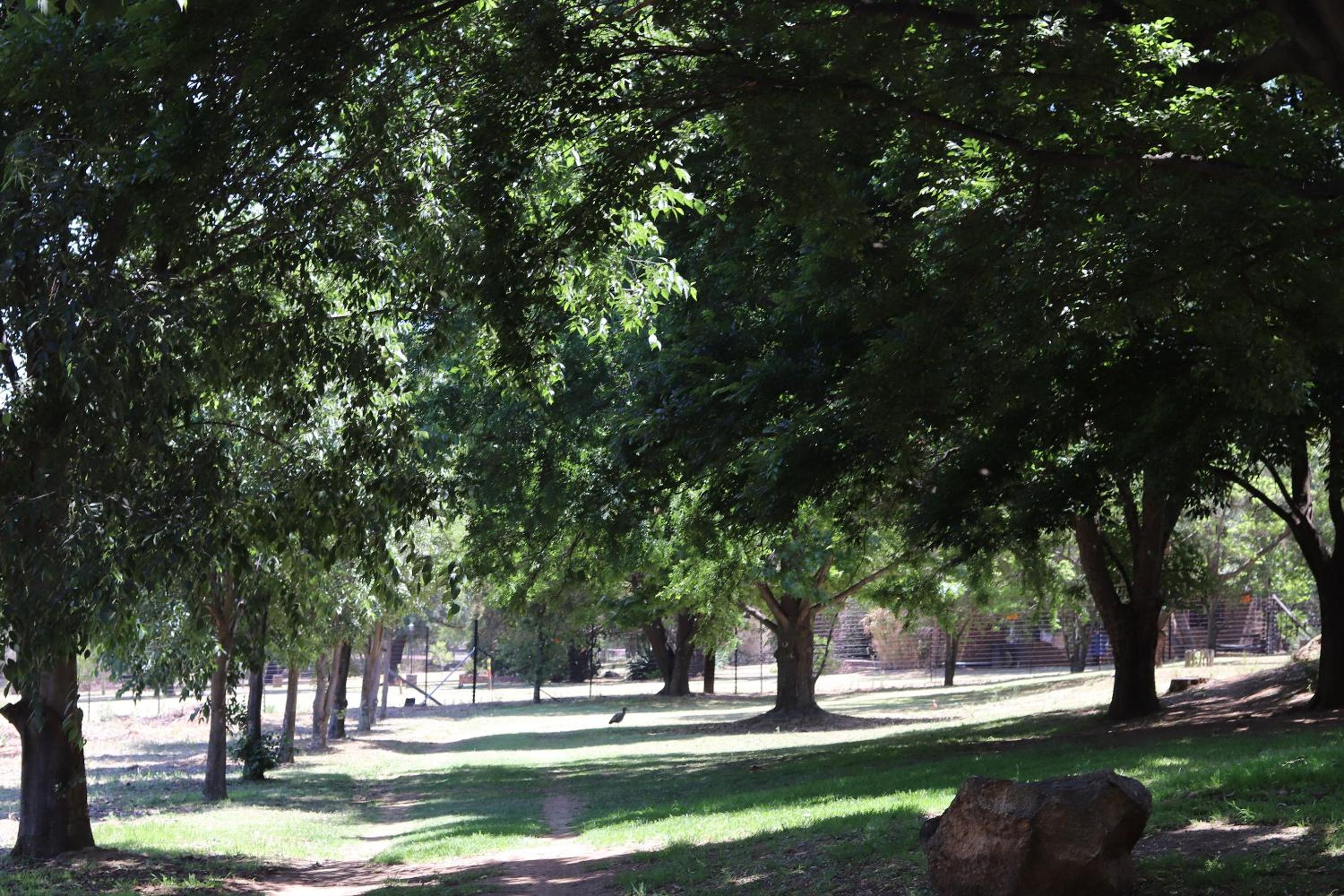 Khaya Africa Guesthouse