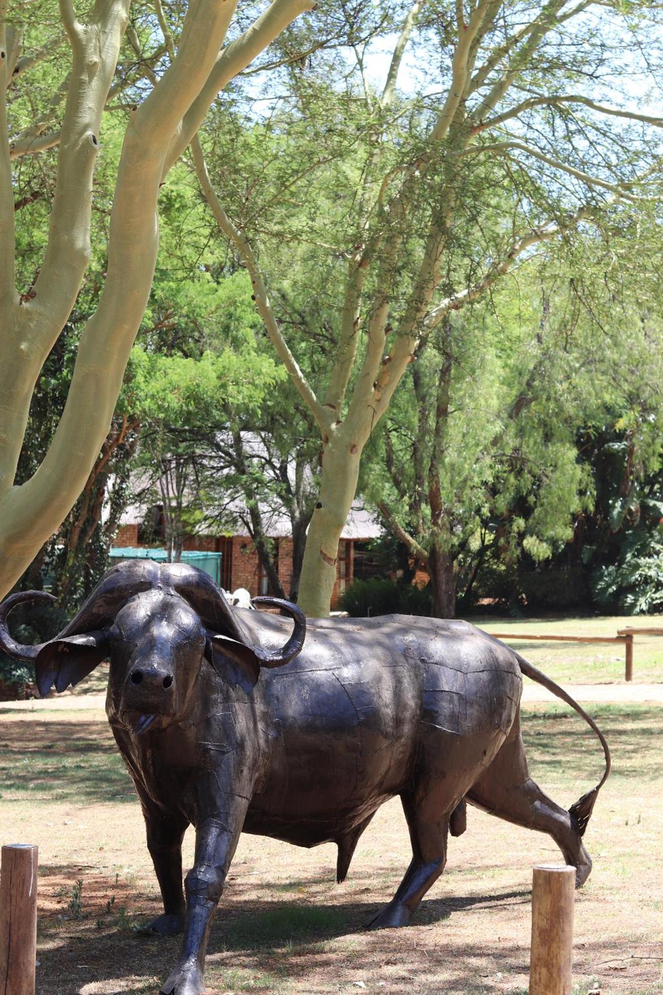Khaya Africa Guesthouse