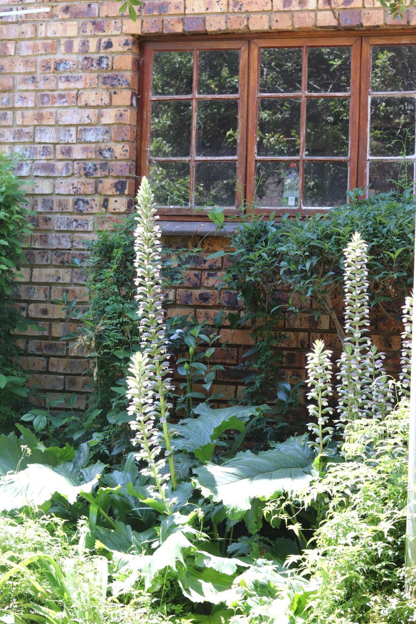 Khaya Africa Guesthouse