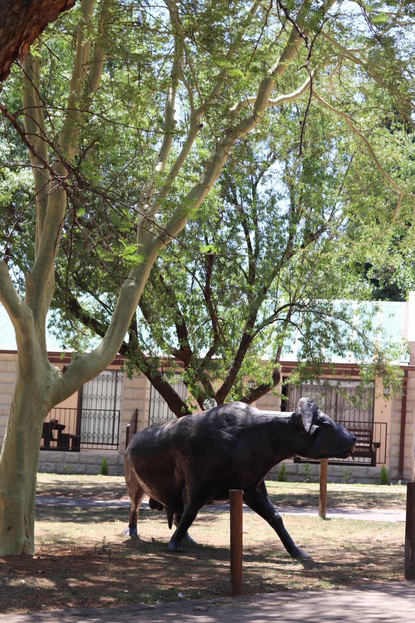 Khaya Africa Guesthouse