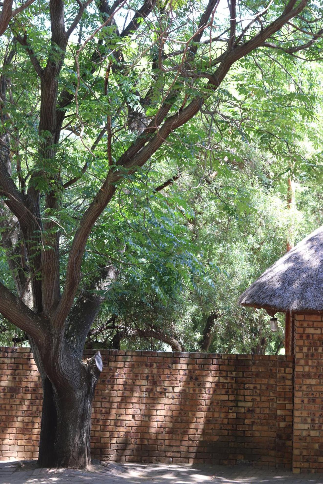 Khaya Africa Guesthouse