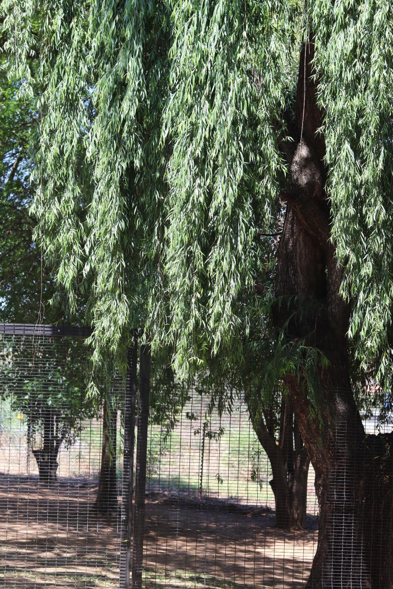 Khaya Africa Guesthouse