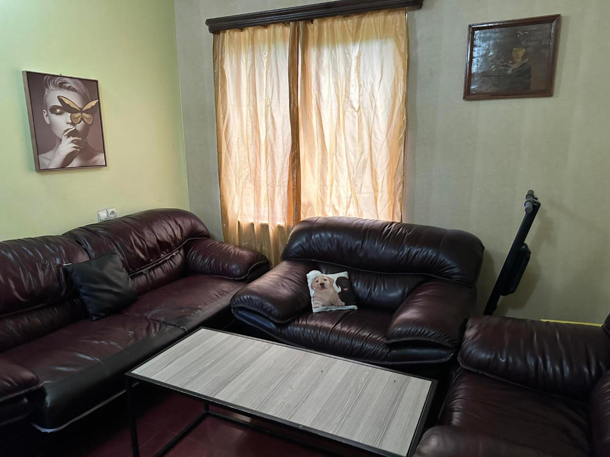Tianeti Purple Villa
