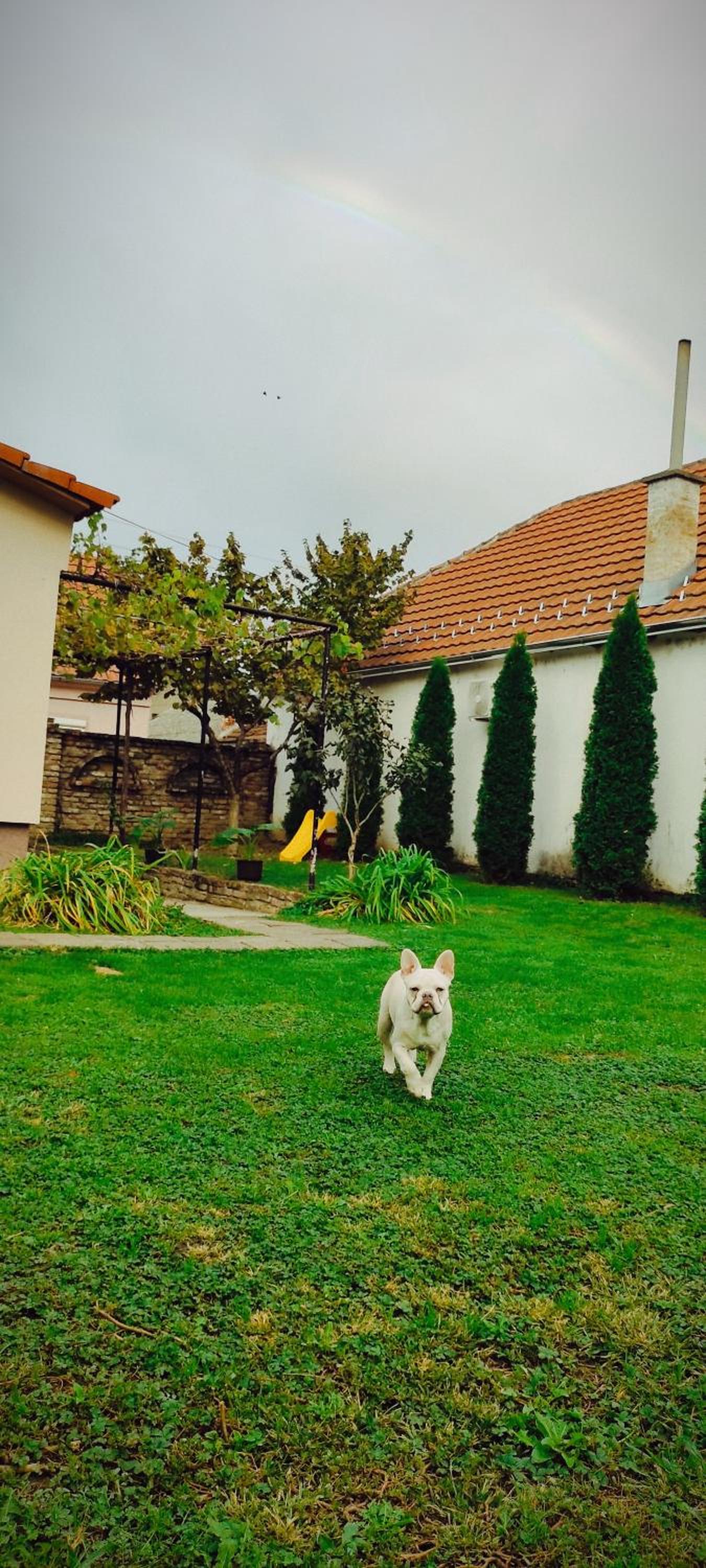 Apartmani Kačara