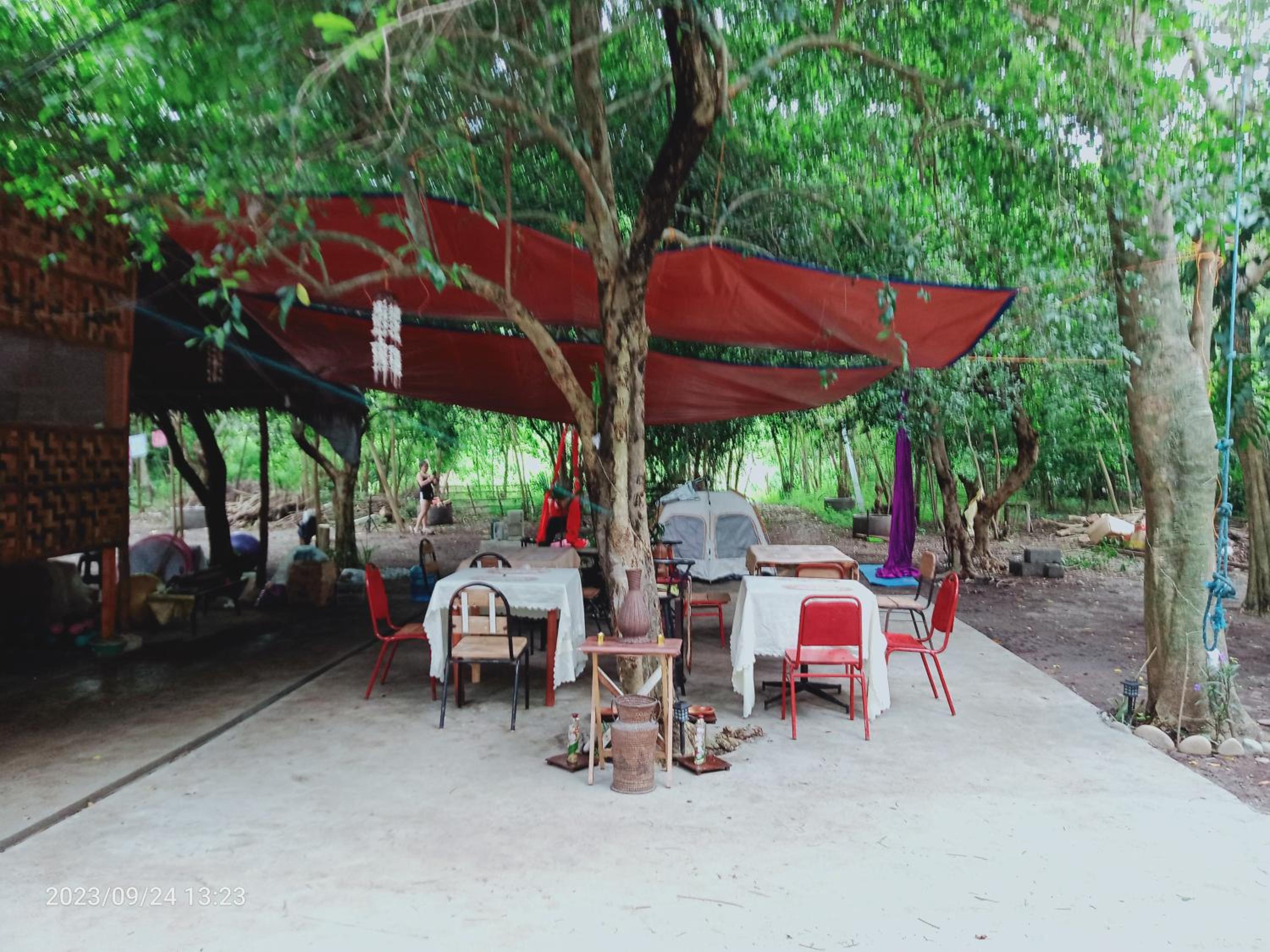 JUNGLE AERIAL ARTS NAMASTE LA UNION Chi fan kubo 2pax, photo 185