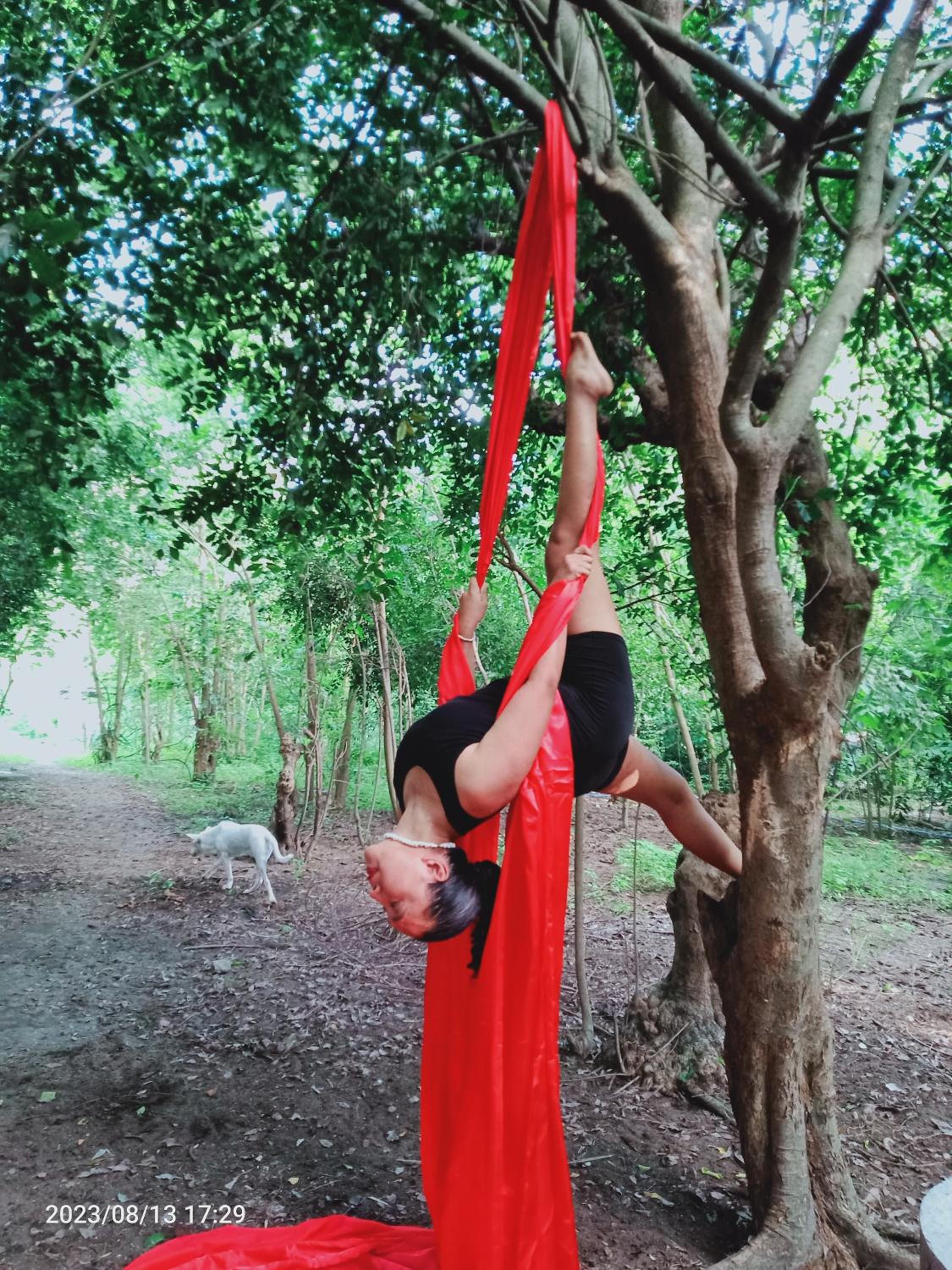 JUNGLE AERIAL ARTS NAMASTE LA UNION Chi fan kubo 2pax, photo 11