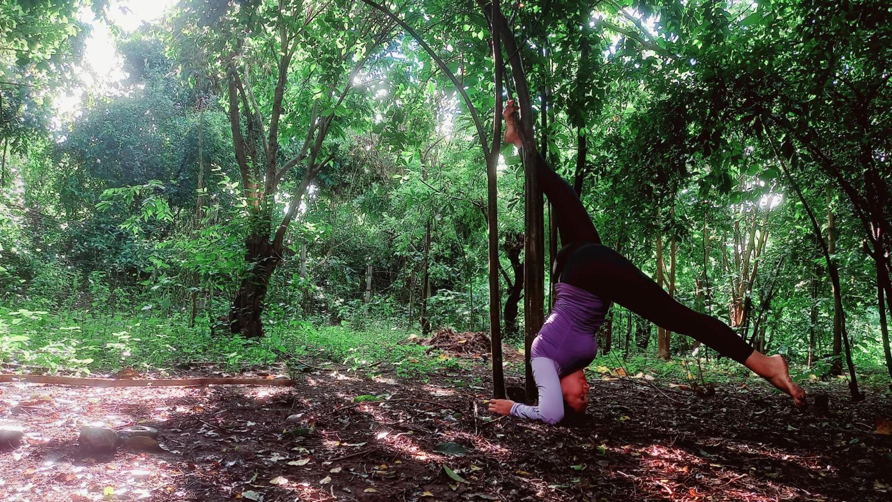 JUNGLE AERIAL ARTS NAMASTE LA UNION Chi fan kubo 2pax, photo 144
