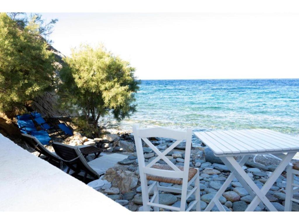 Seagull Syros Seaside photo 4