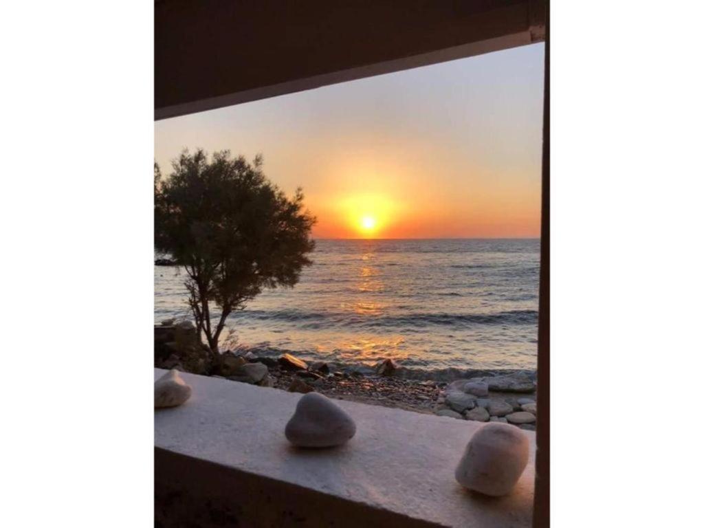 Seagull Syros Seaside photo 5