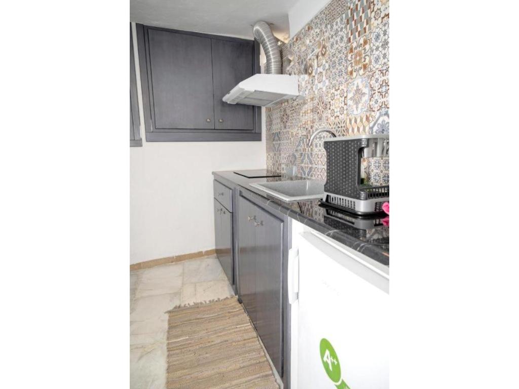 Seagull Syros Seaside photo 3