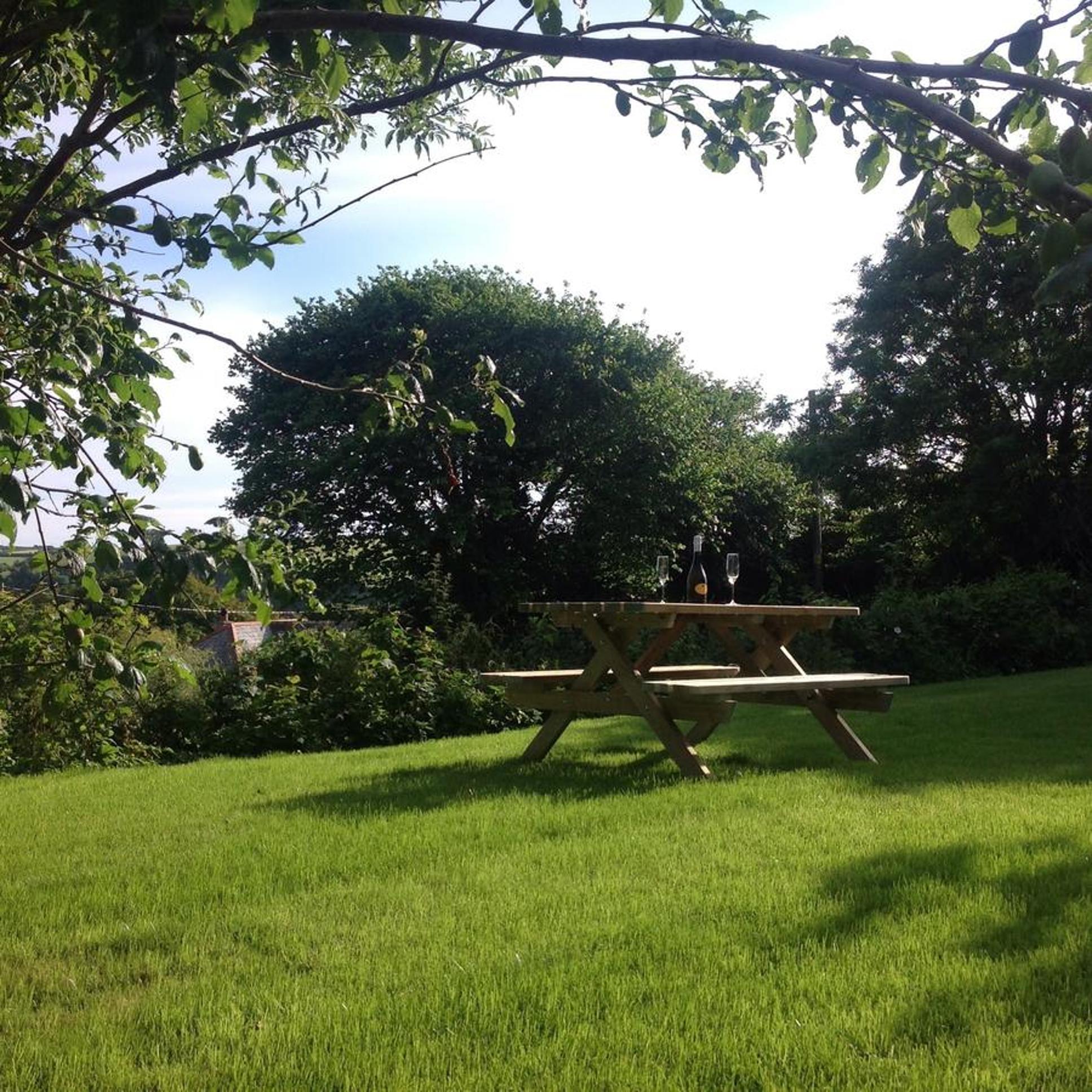 Photo 13