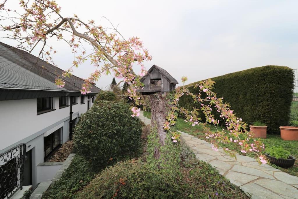 Schöne EinliegerWhg (74m²) in Villa mit Traumlage