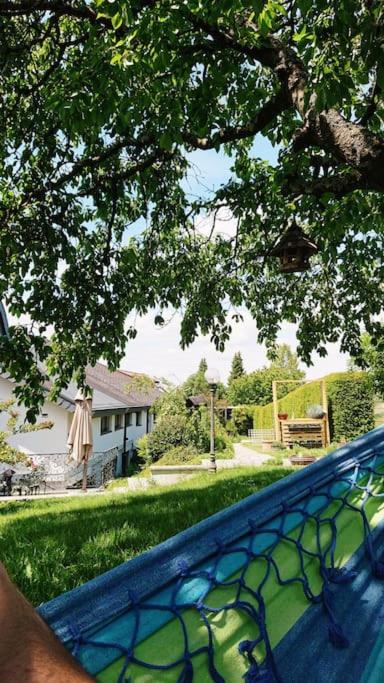 Schöne EinliegerWhg (74m²) in Villa mit Traumlage