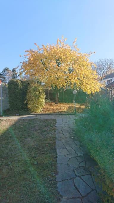 Schöne EinliegerWhg (74m²) in Villa mit Traumlage