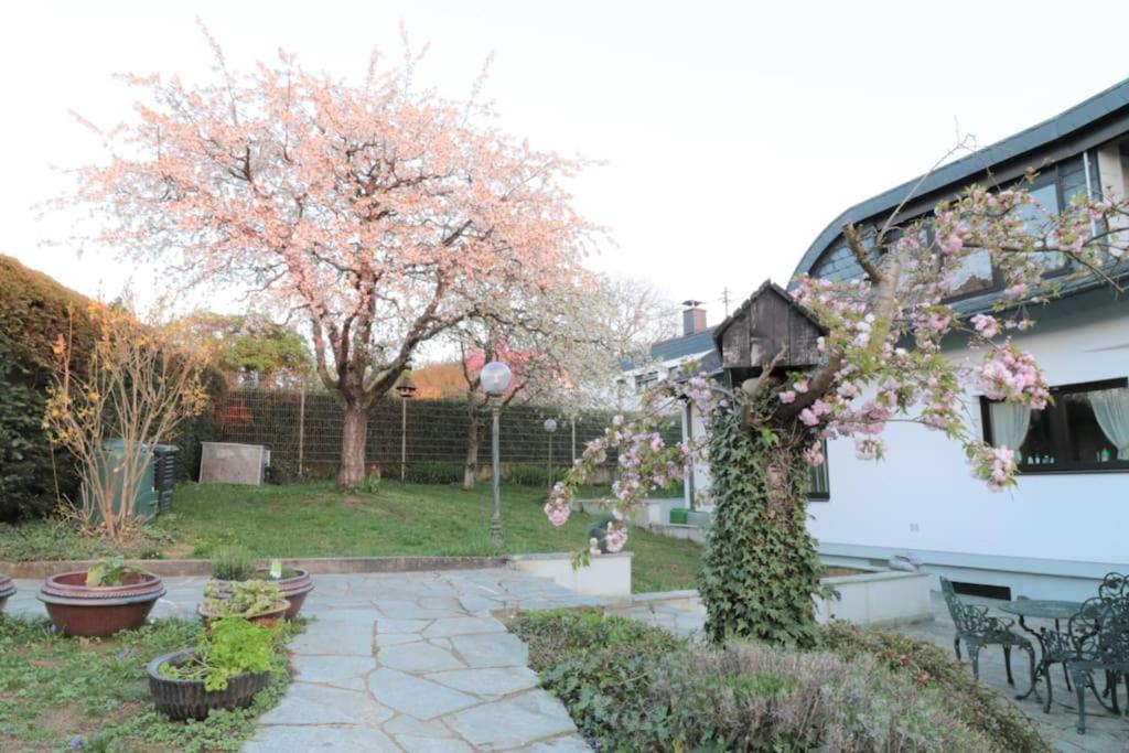 Schöne EinliegerWhg (74m²) in Villa mit Traumlage
