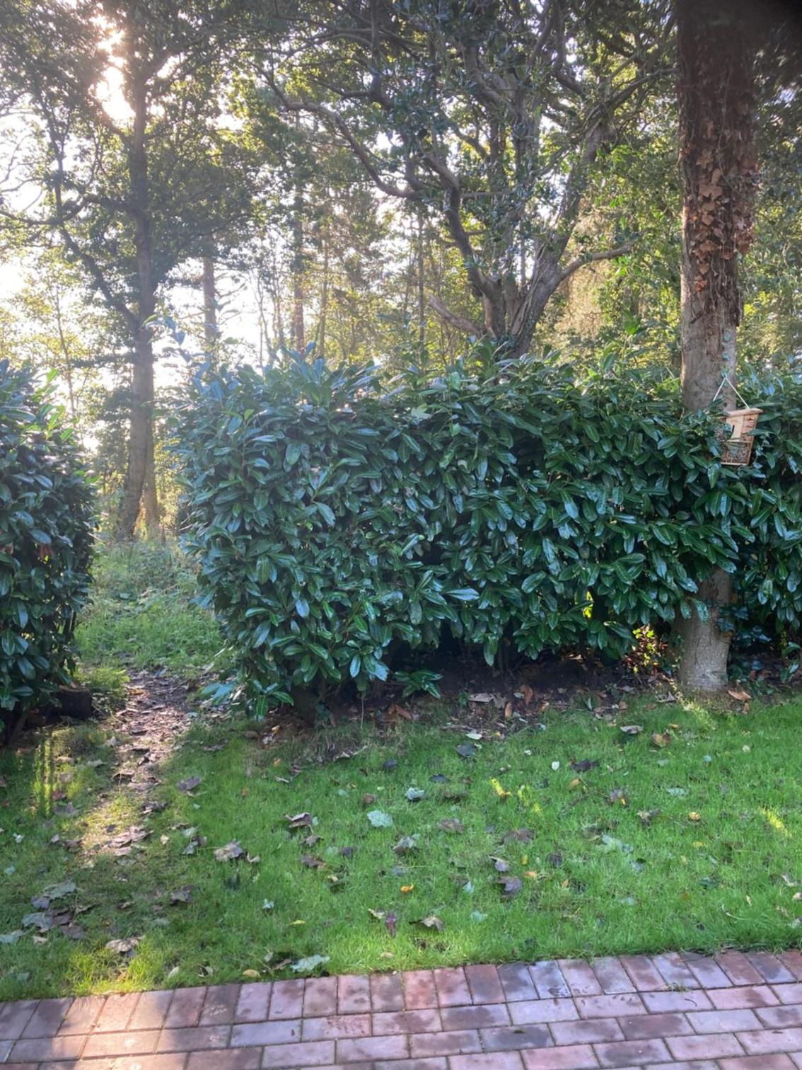 Woodland Retreat, Market Lane, Blundeston, Lowestoft