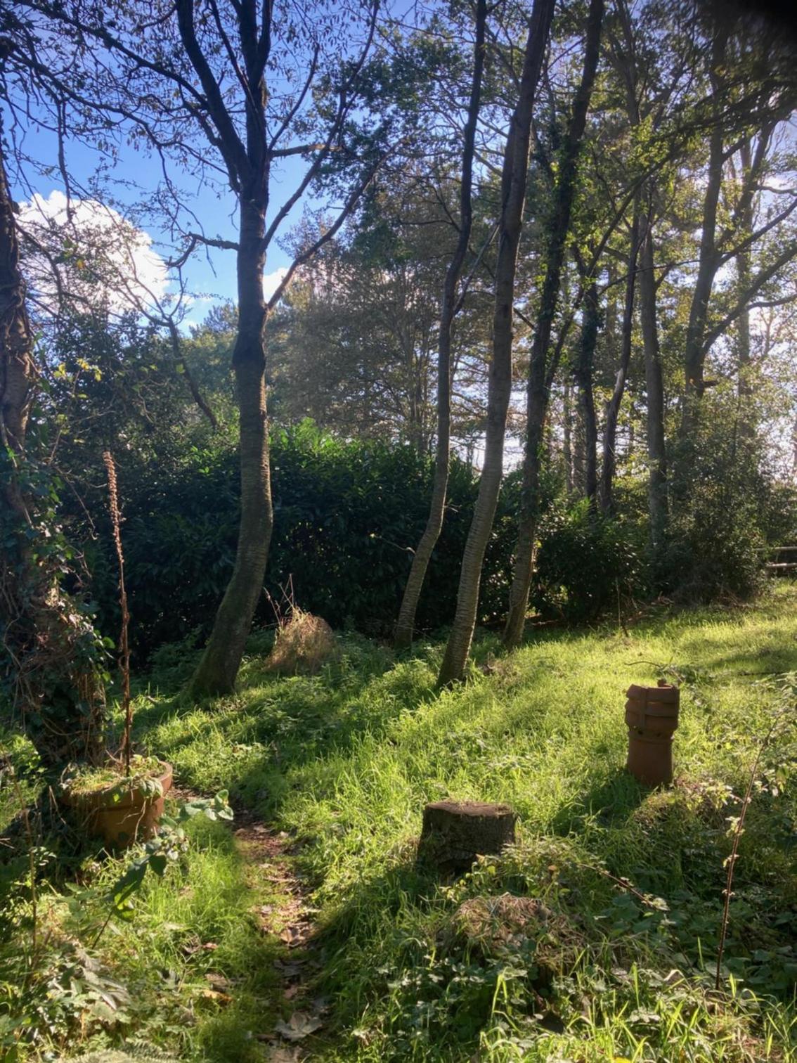 Woodland Retreat, Market Lane, Blundeston, Lowestoft