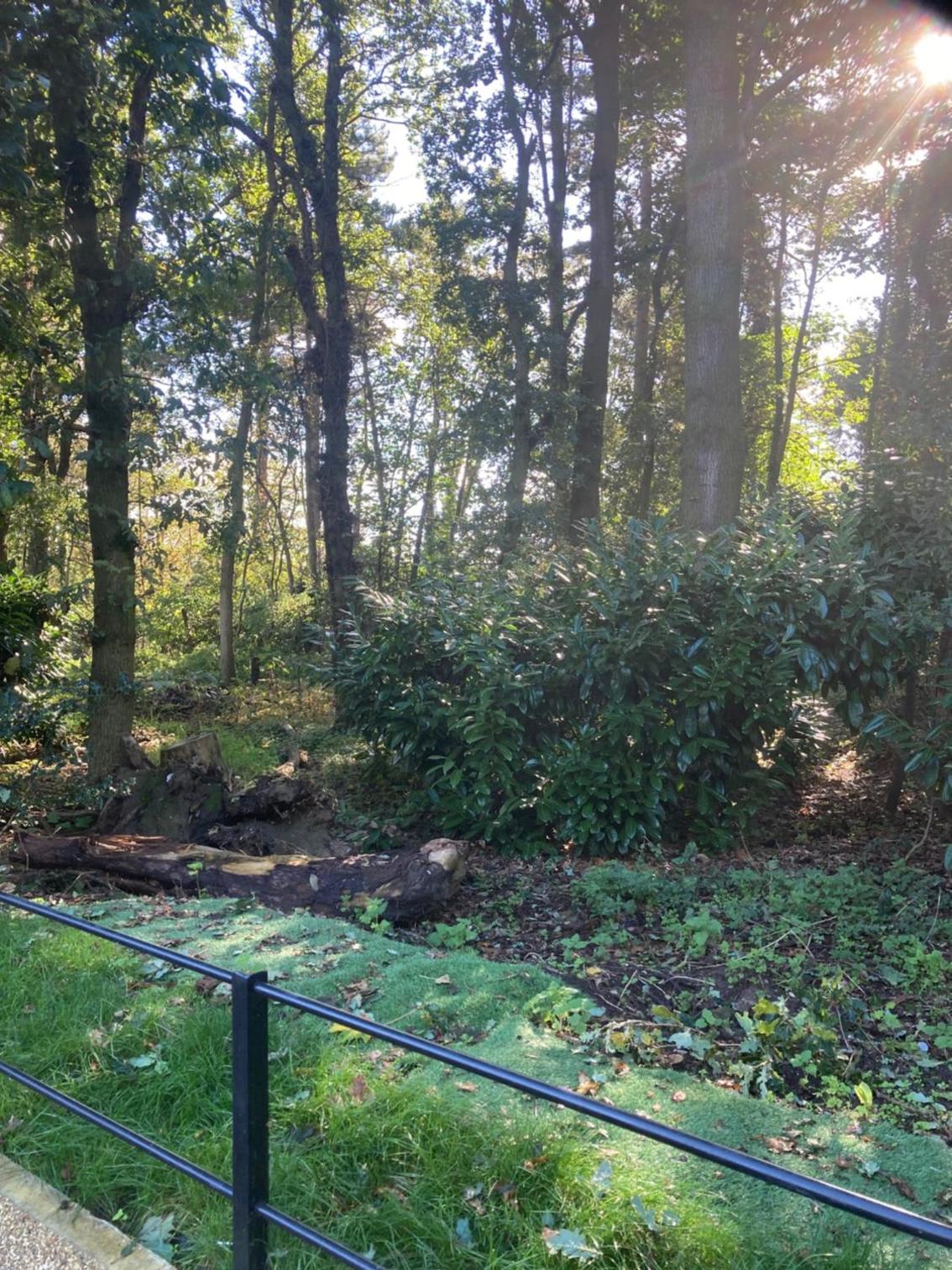 Woodland Retreat, Market Lane, Blundeston, Lowestoft