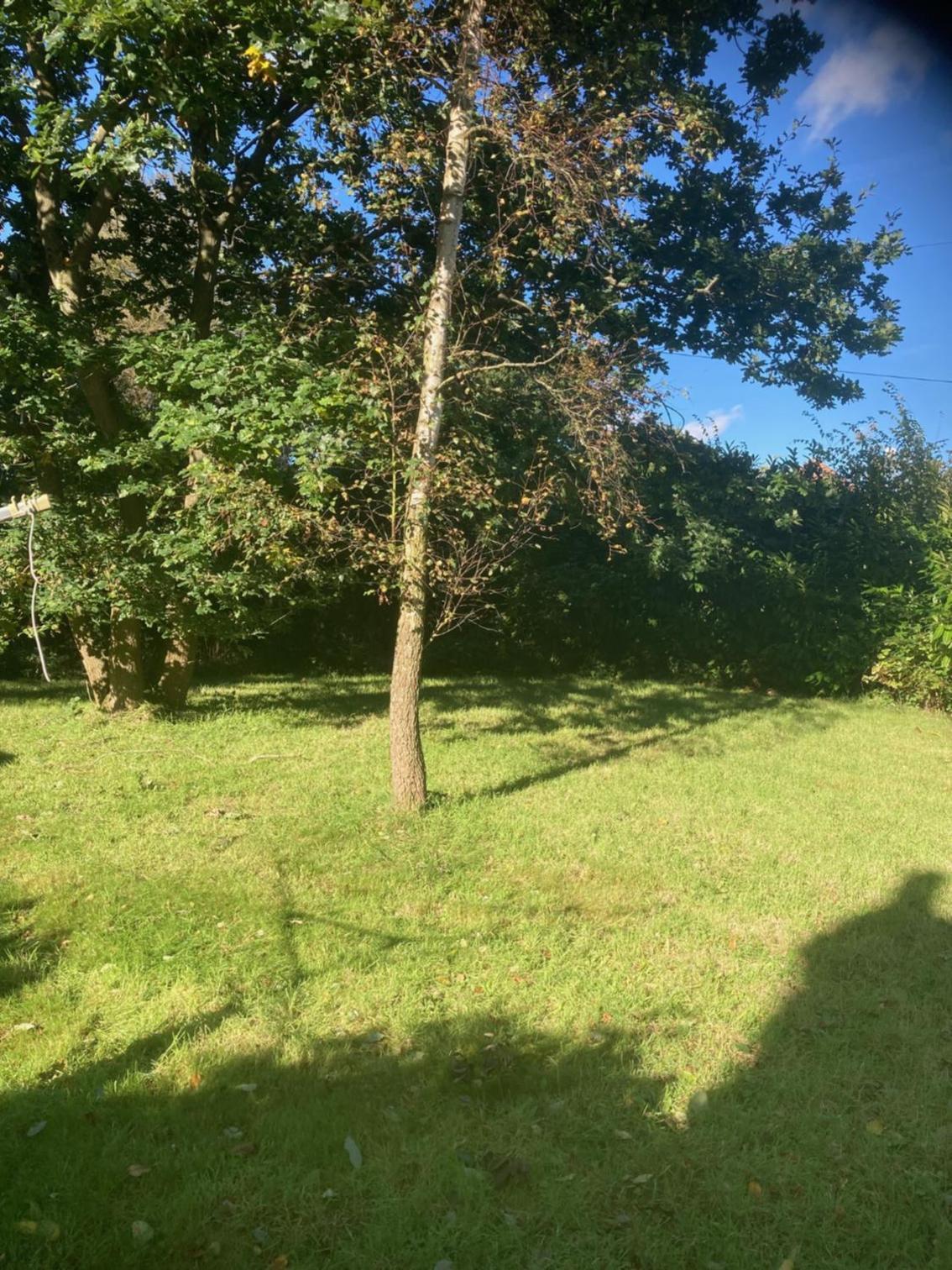 Woodland Retreat, Market Lane, Blundeston, Lowestoft