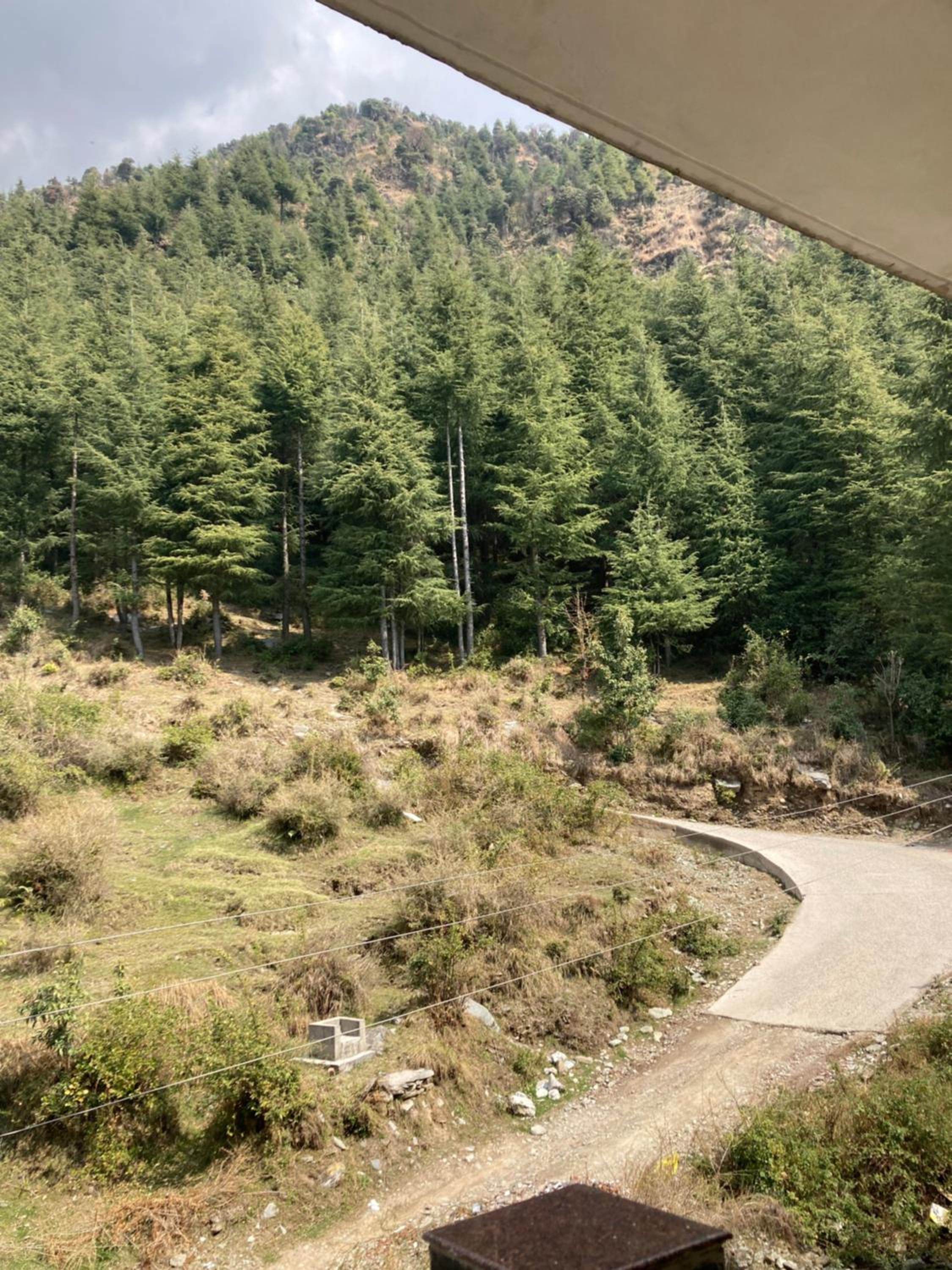 Oasis Guest House Bhagsu D'shala