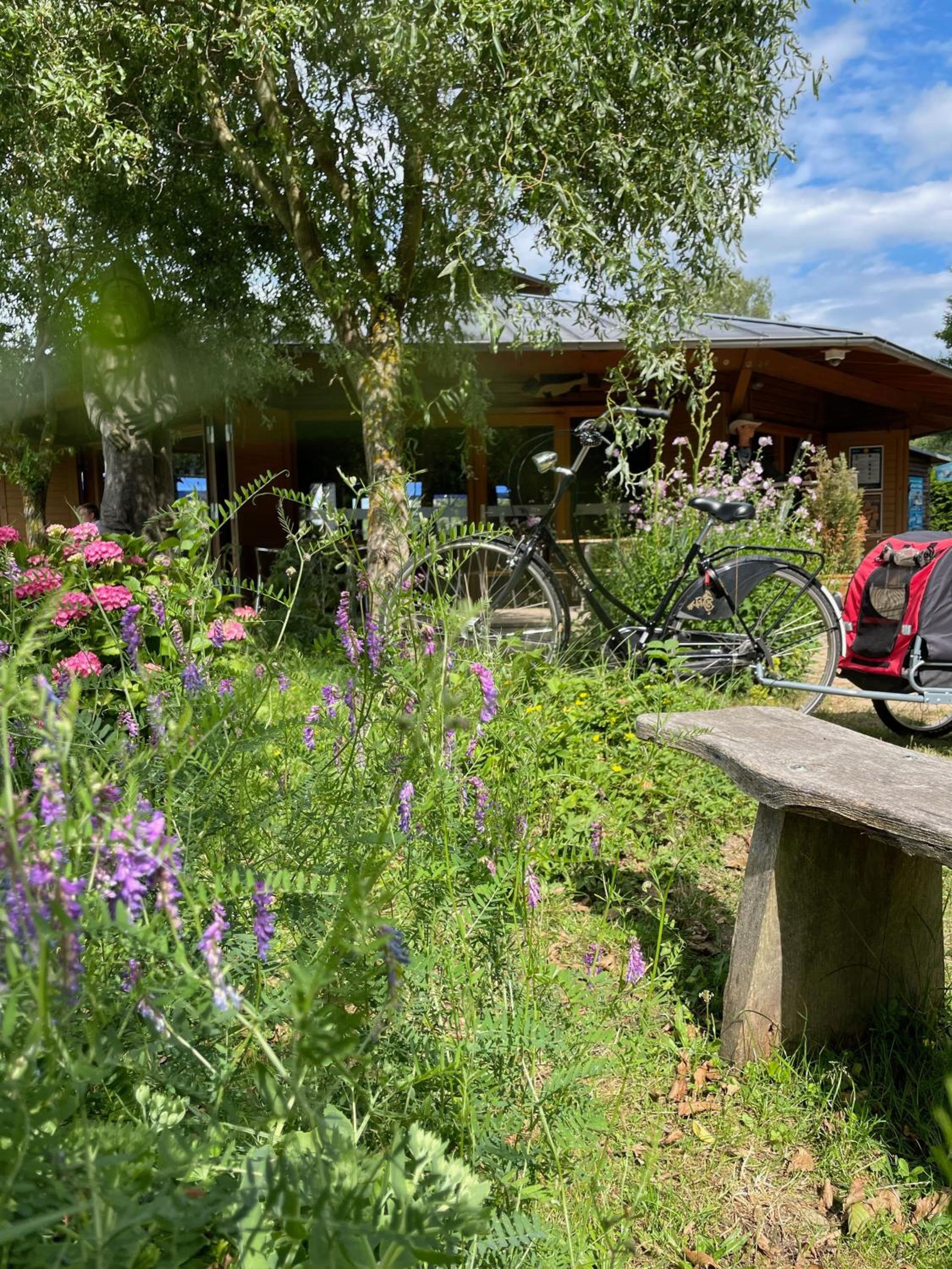 Ferienwohnungen im Haus Waldstück