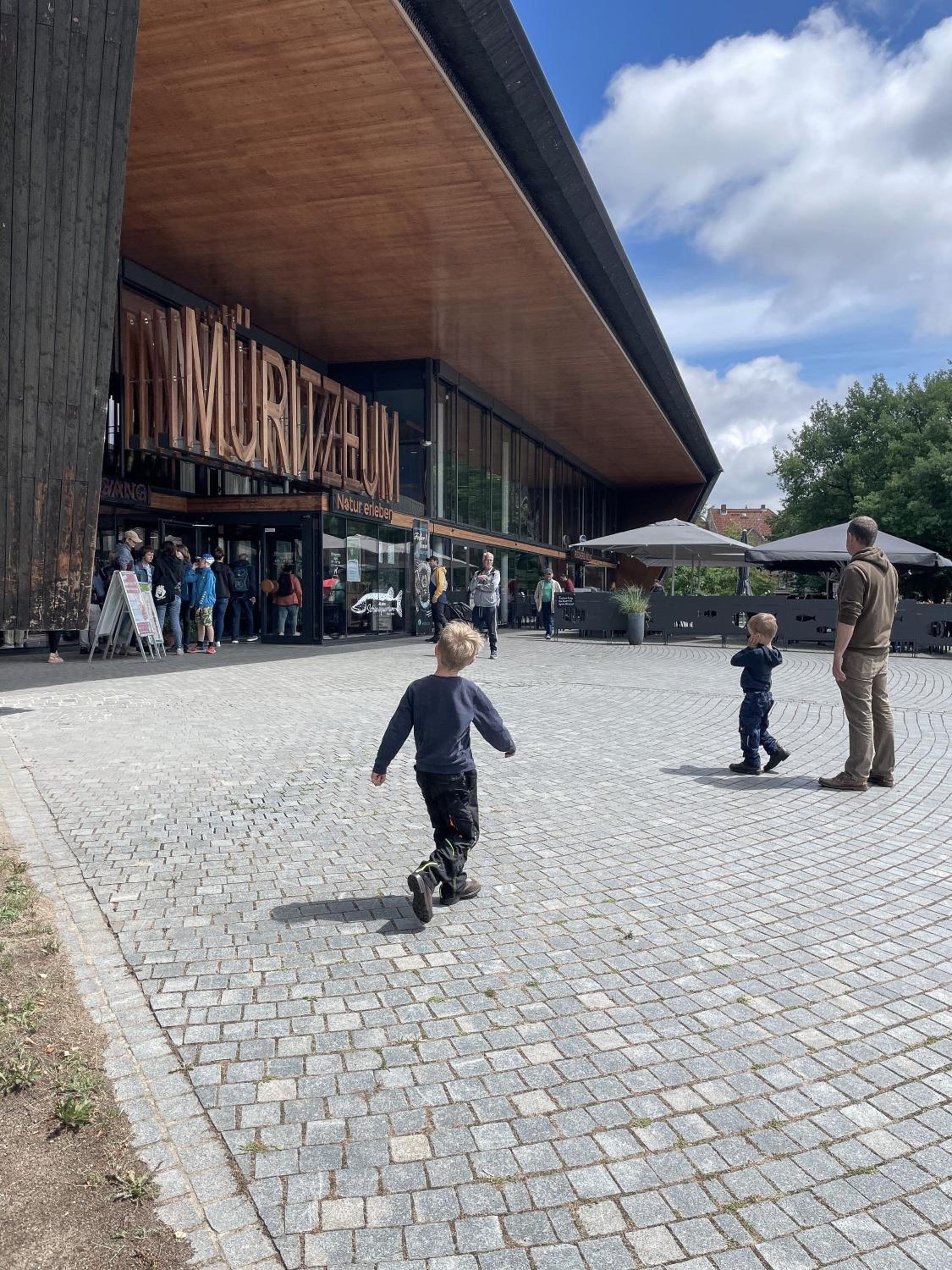 Ferienwohnungen im Haus Waldstück