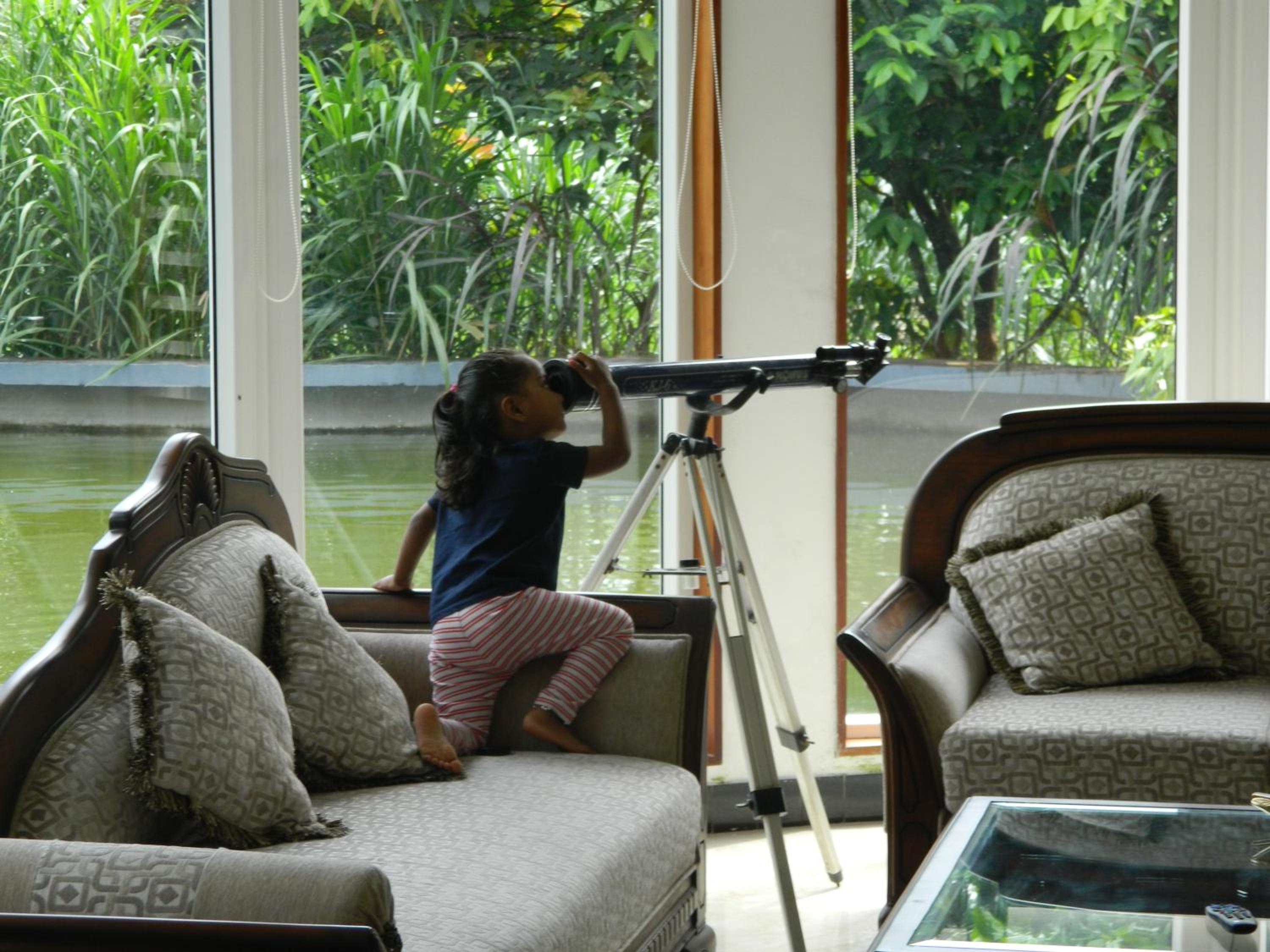 Torch Ginger Homestay