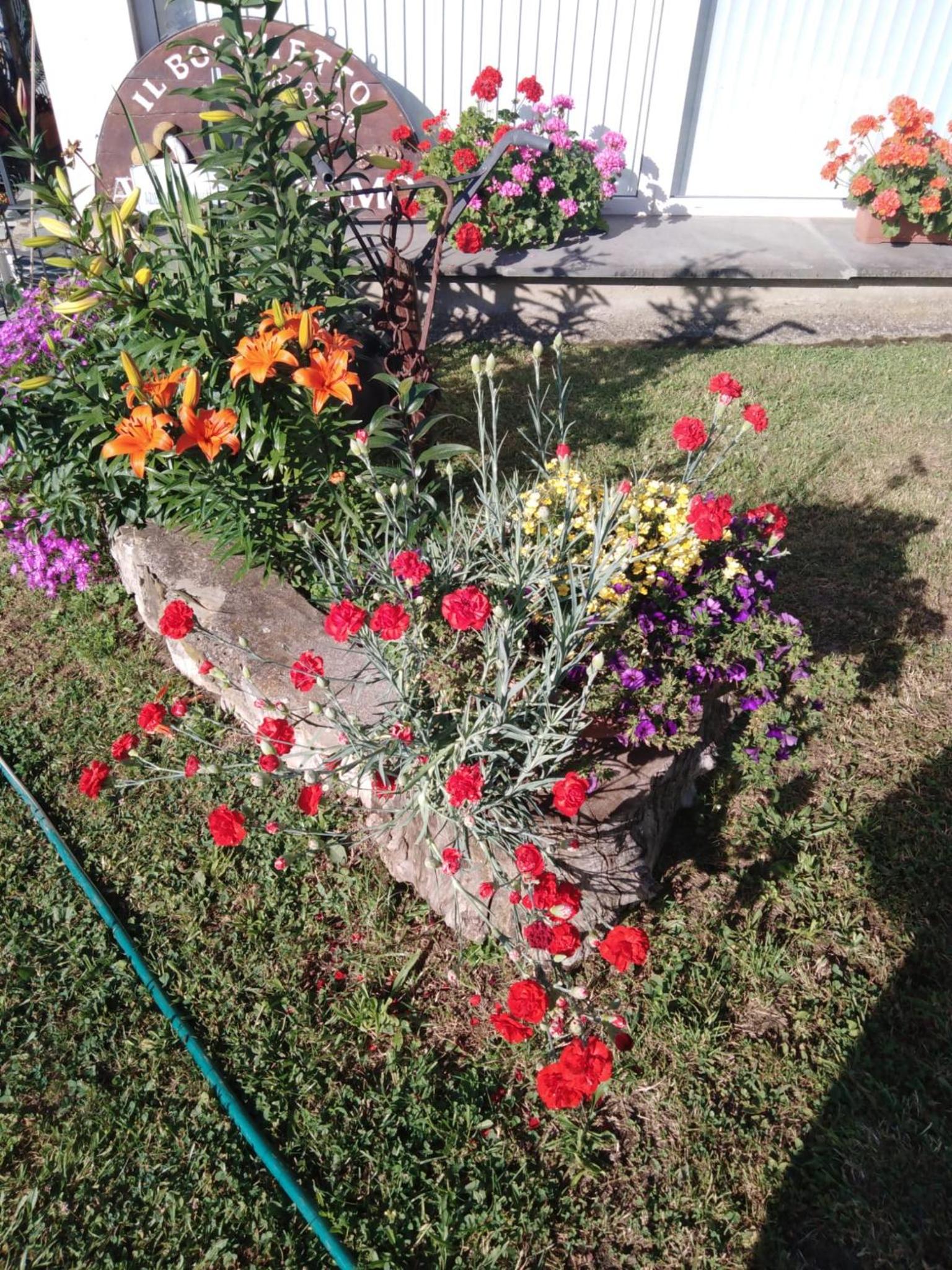 Photo 31