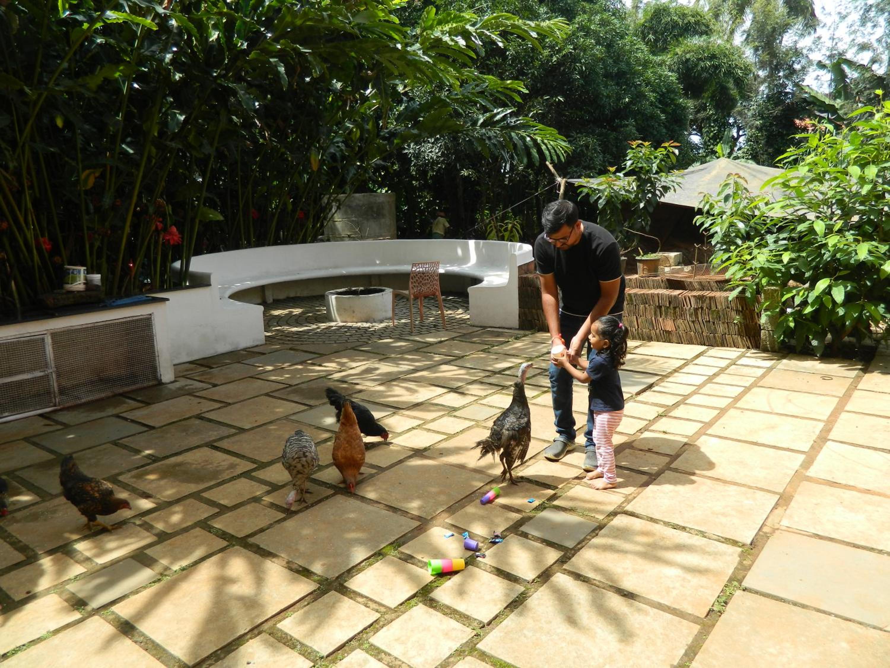 Torch Ginger Homestay