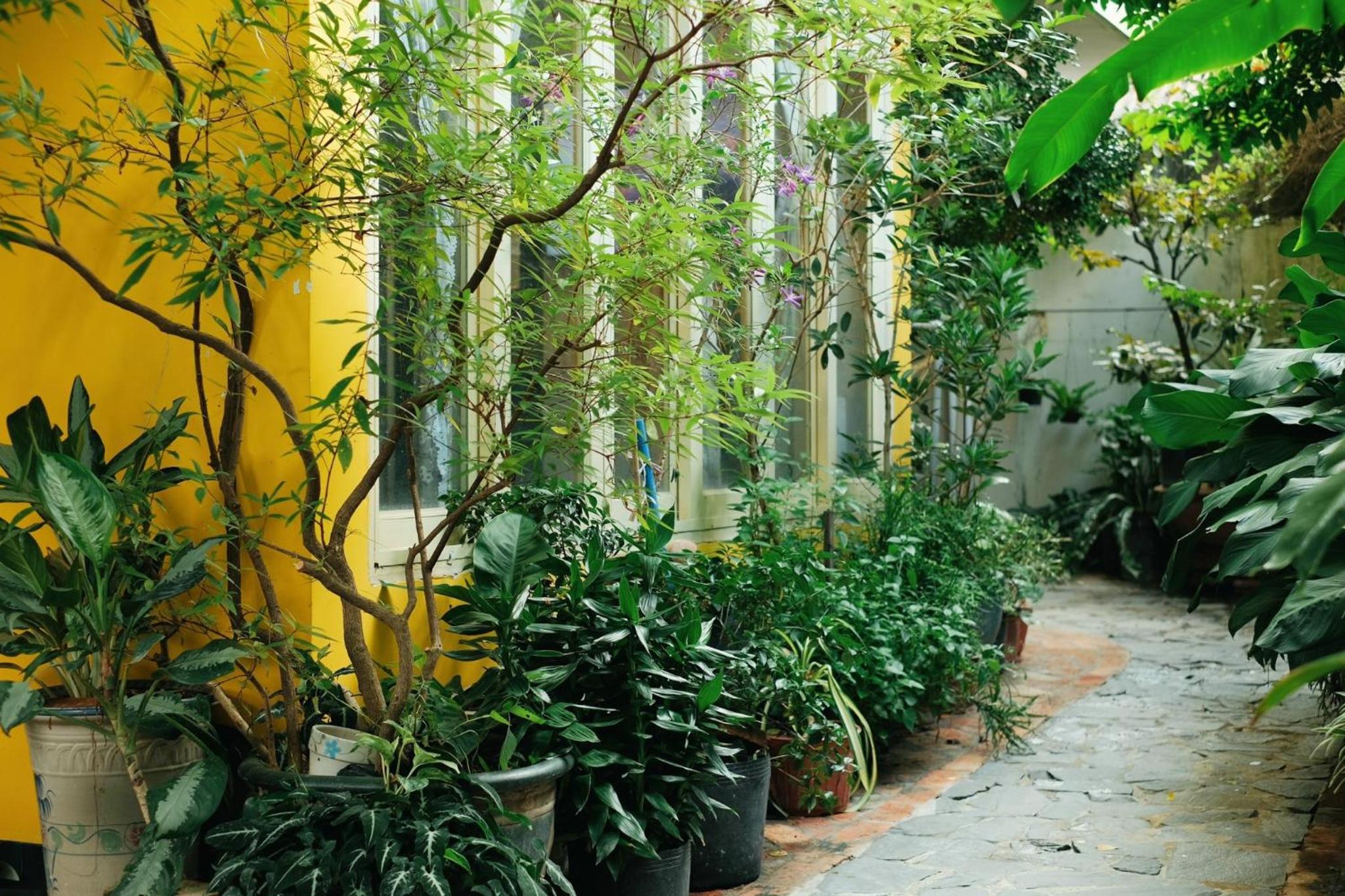 Homestay in Tay Ninh view 4