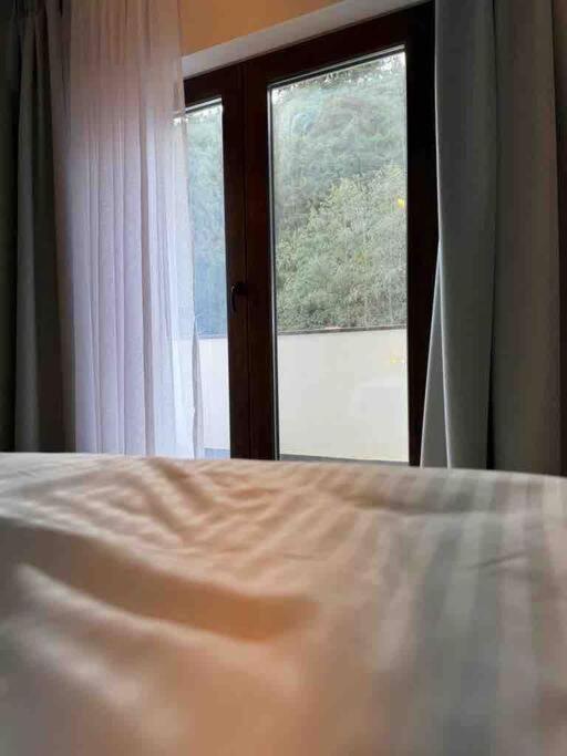 Voronet Retreat