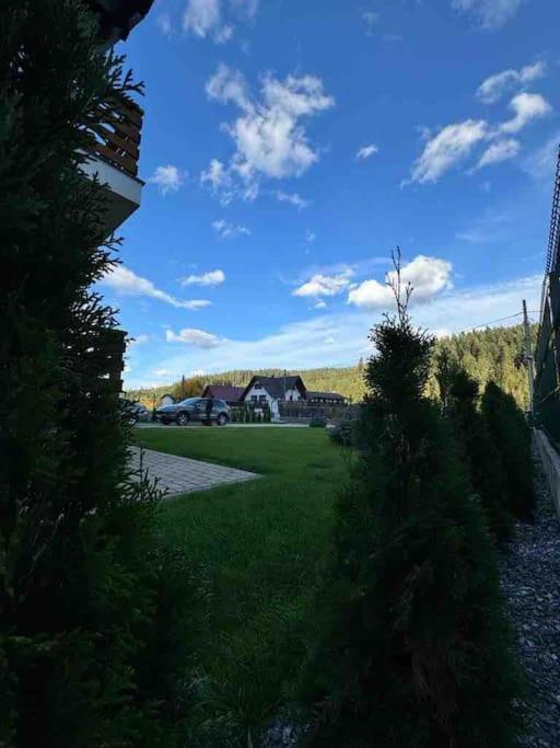 Voronet Retreat