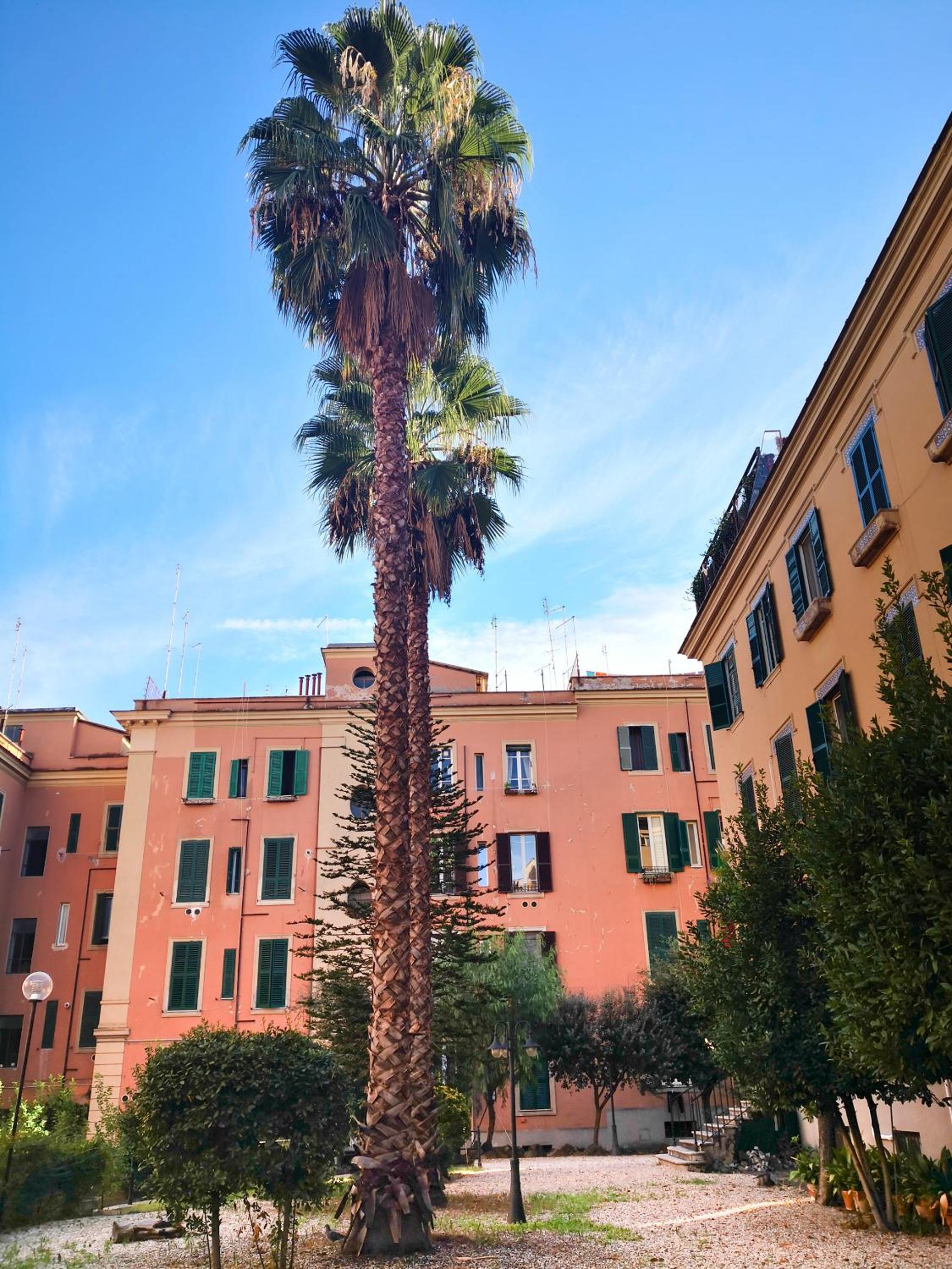 Cortile al Vaticano by Bed&Bros