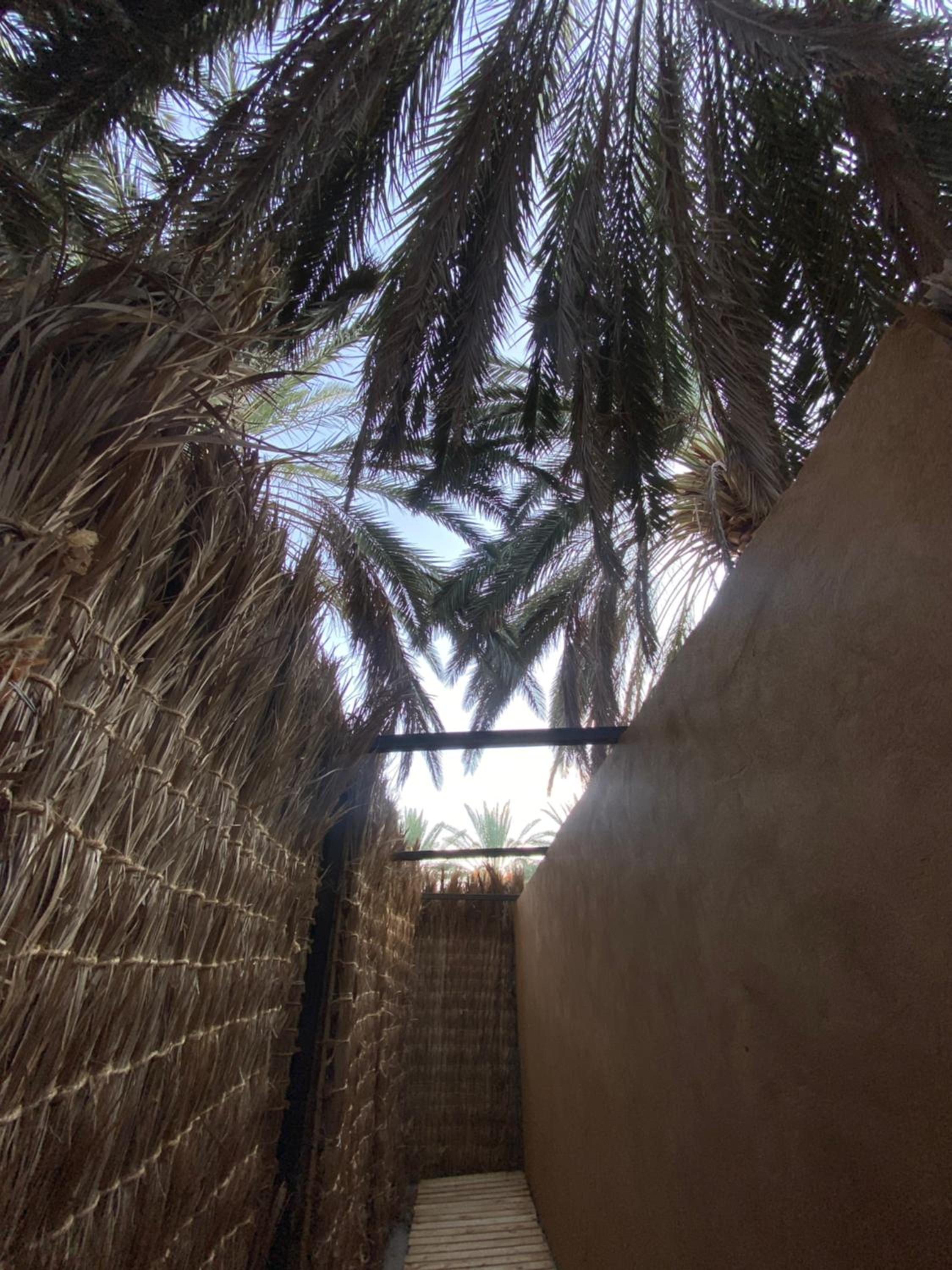 Husaak AlUla Adventure Camp