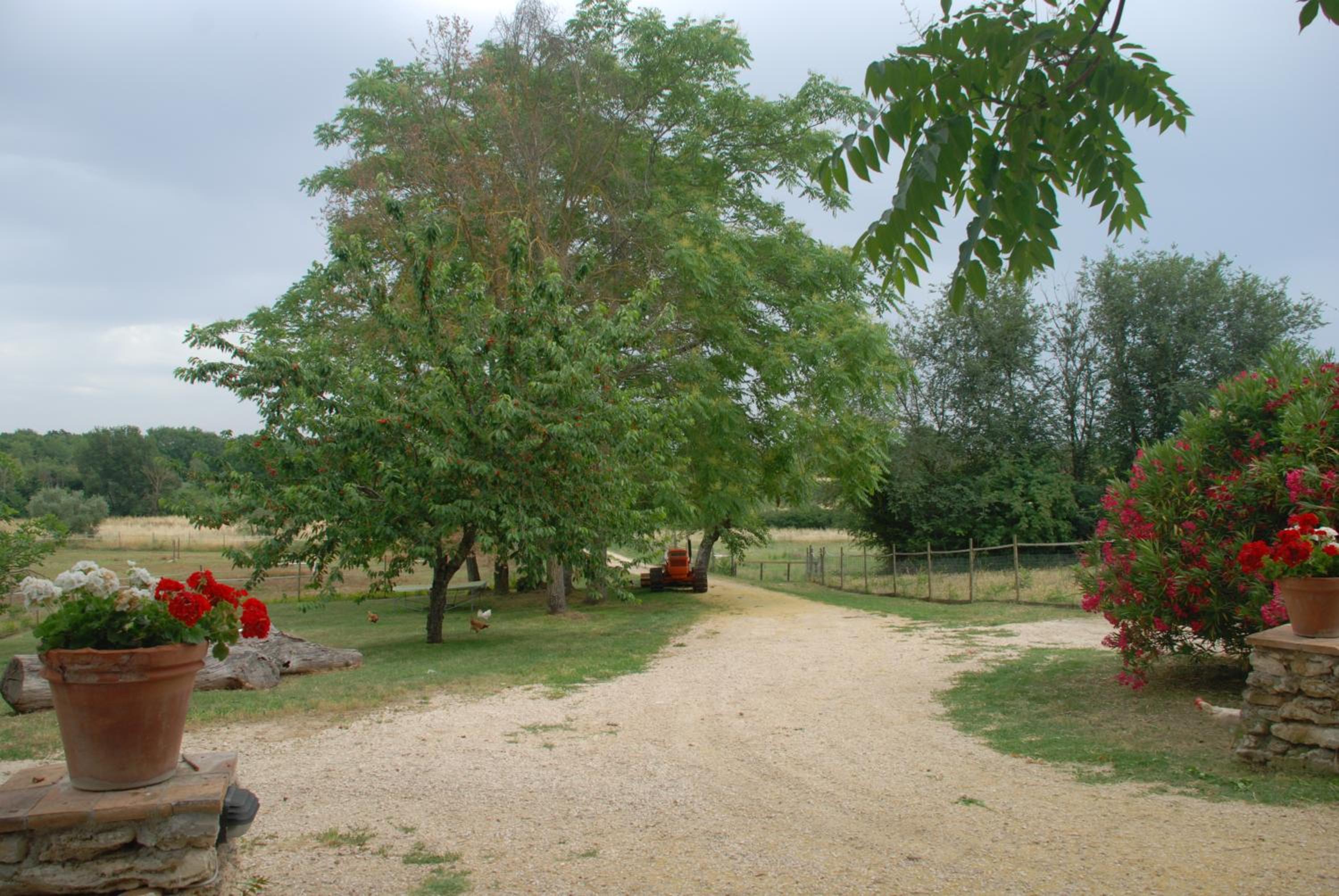 Podere Conte Ràcani