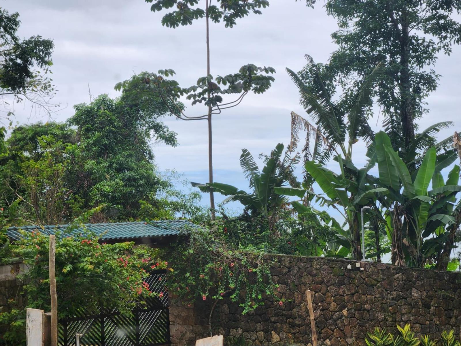 Bangalô com Vista Parcial para o Mar