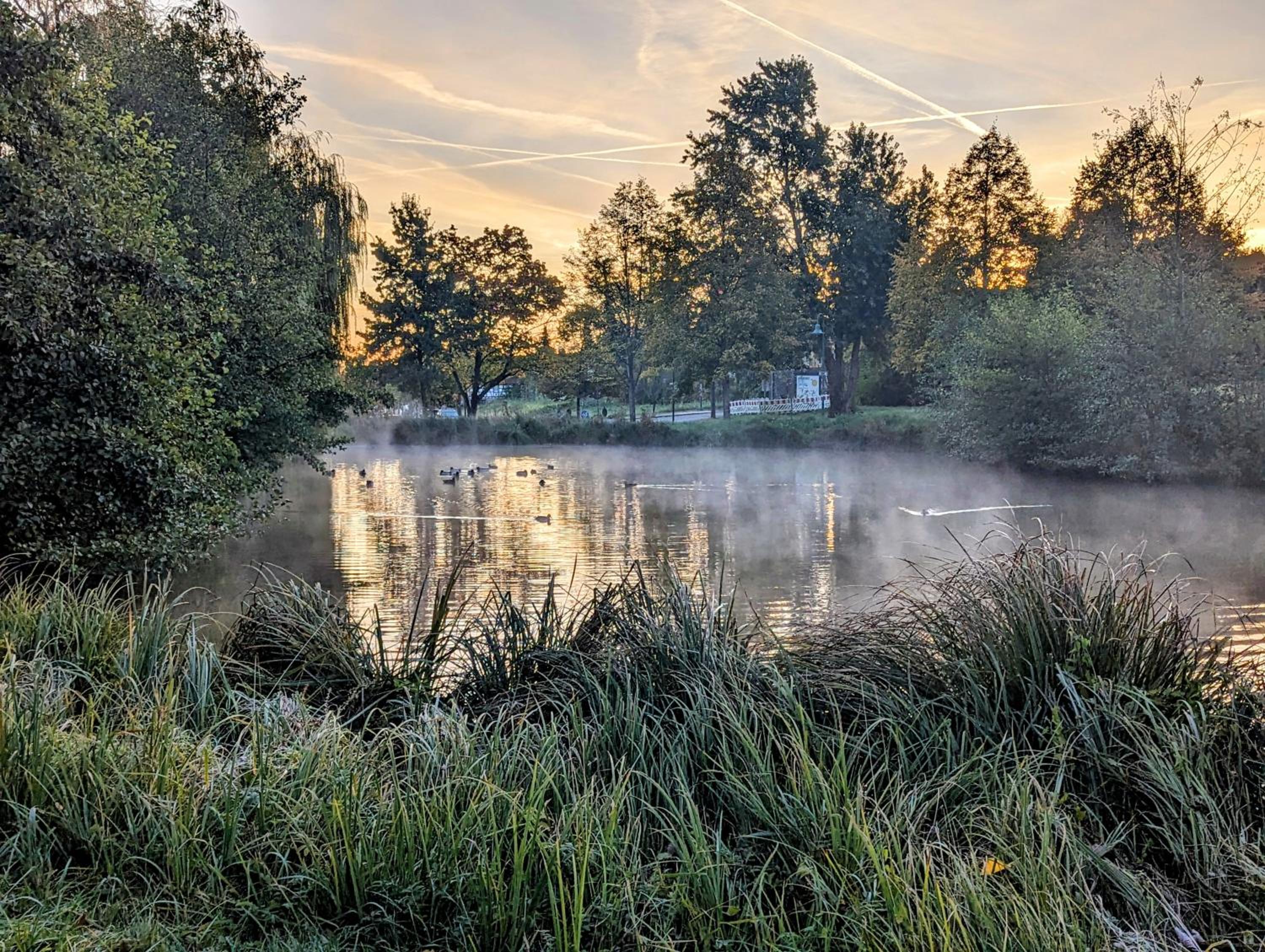 Ferienhaus am Park