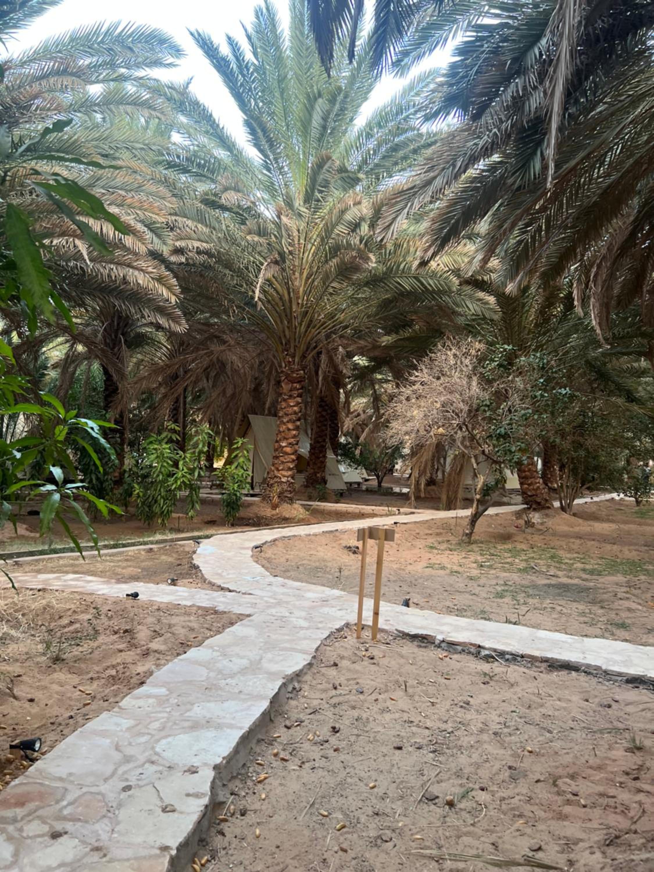 Husaak AlUla Adventure Camp