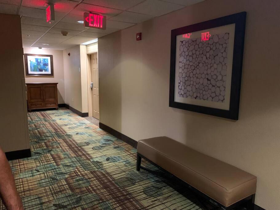 Perfect Place Suite Apt 2 Queen Beds FREE Parking
