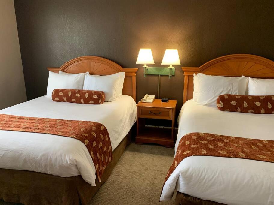 Perfect Place Suite Apt 2 Queen Beds FREE Parking
