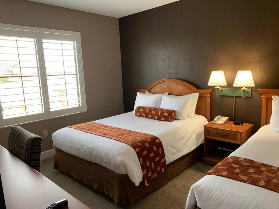 Perfect Place Suite Apt 2 Queen Beds FREE Parking